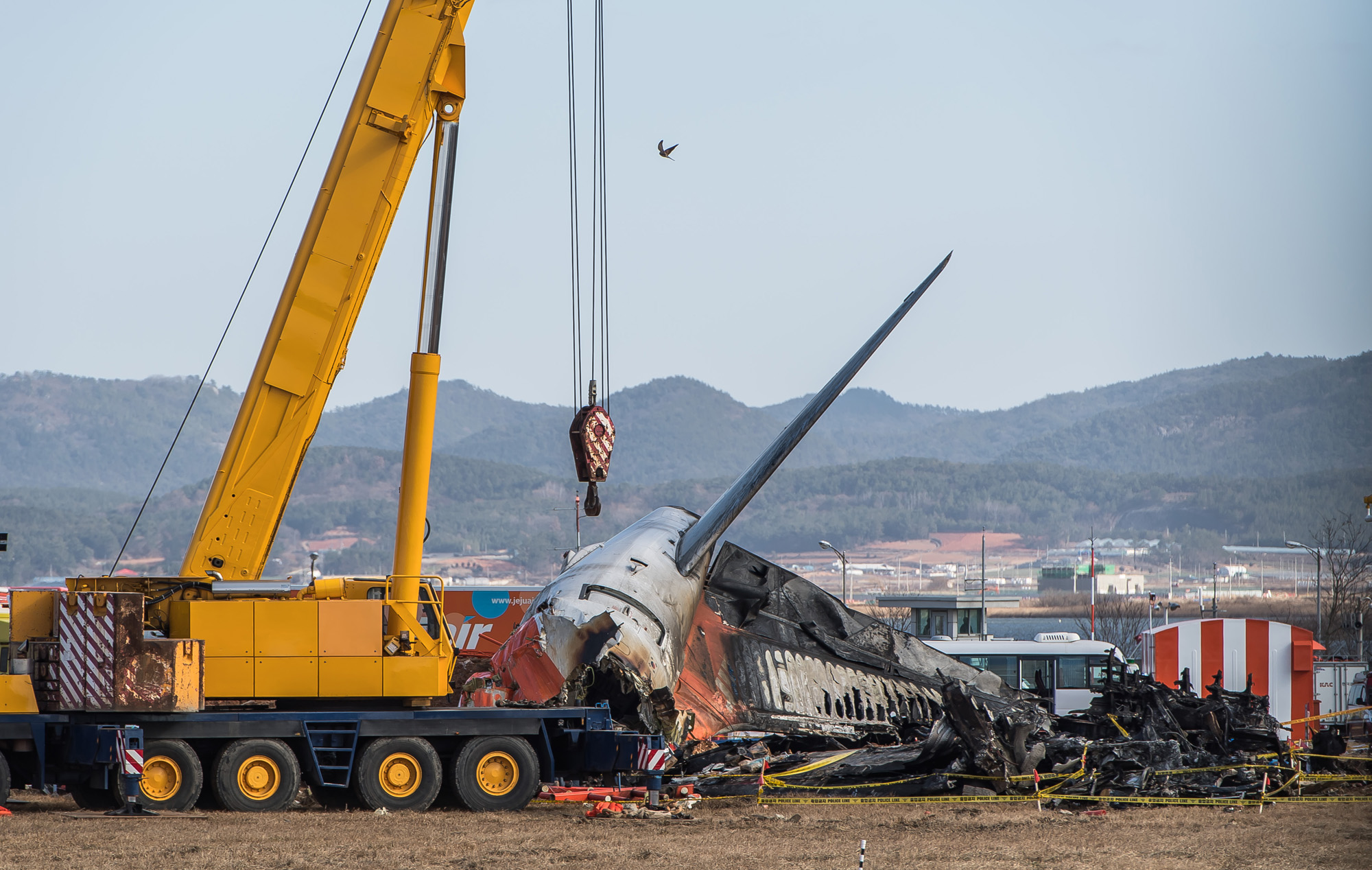 사회;사건사고;사망사고;여객기참사사고;항공기사고;무안국제공항항공기사고;제주항공사망사고;항공기조류충돌;무안공항제주항공여객기참사;제주항공여객기참사;제주항공참사