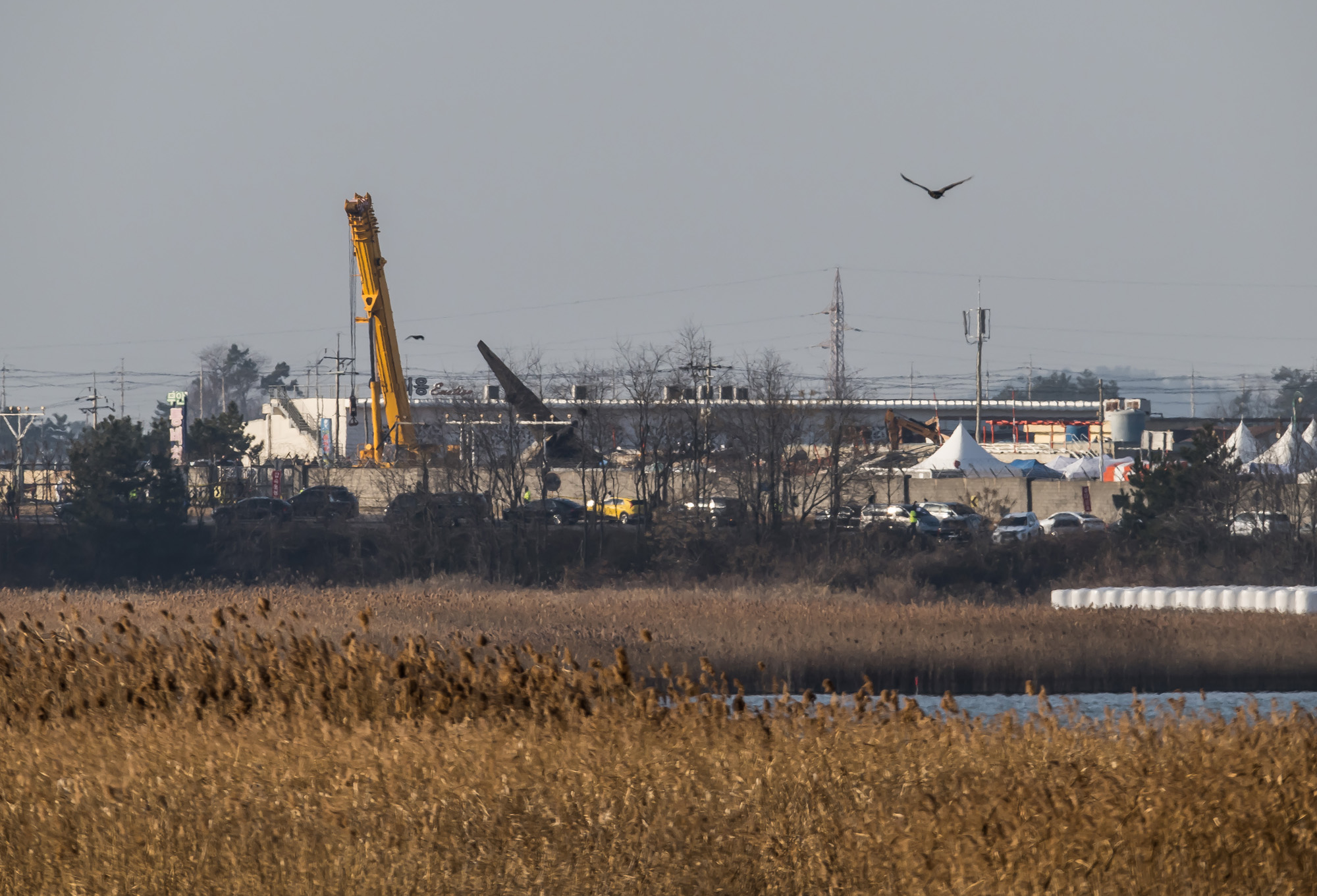 사회;사건사고;사망사고;여객기참사사고;항공기사고;무안국제공항항공기사고;제주항공사망사고;항공기조류충돌;무안공항제주항공여객기참사;제주항공여객기참사;제주항공참사;버드스트라이크;철새떼;새떼충돌;새무리비행