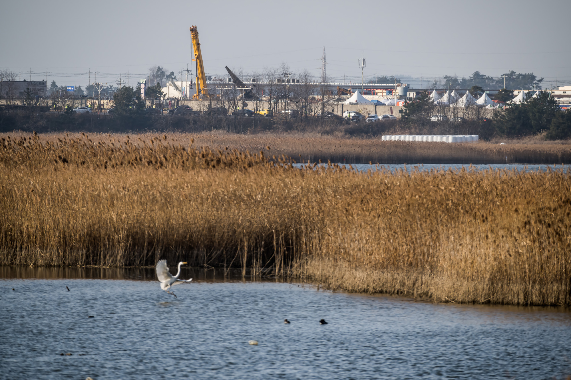사회;사건사고;사망사고;여객기참사사고;항공기사고;무안국제공항항공기사고;제주항공사망사고;항공기조류충돌;무안공항제주항공여객기참사;제주항공여객기참사;제주항공참사;버드스트라이크;철새떼;새떼충돌;새무리비행