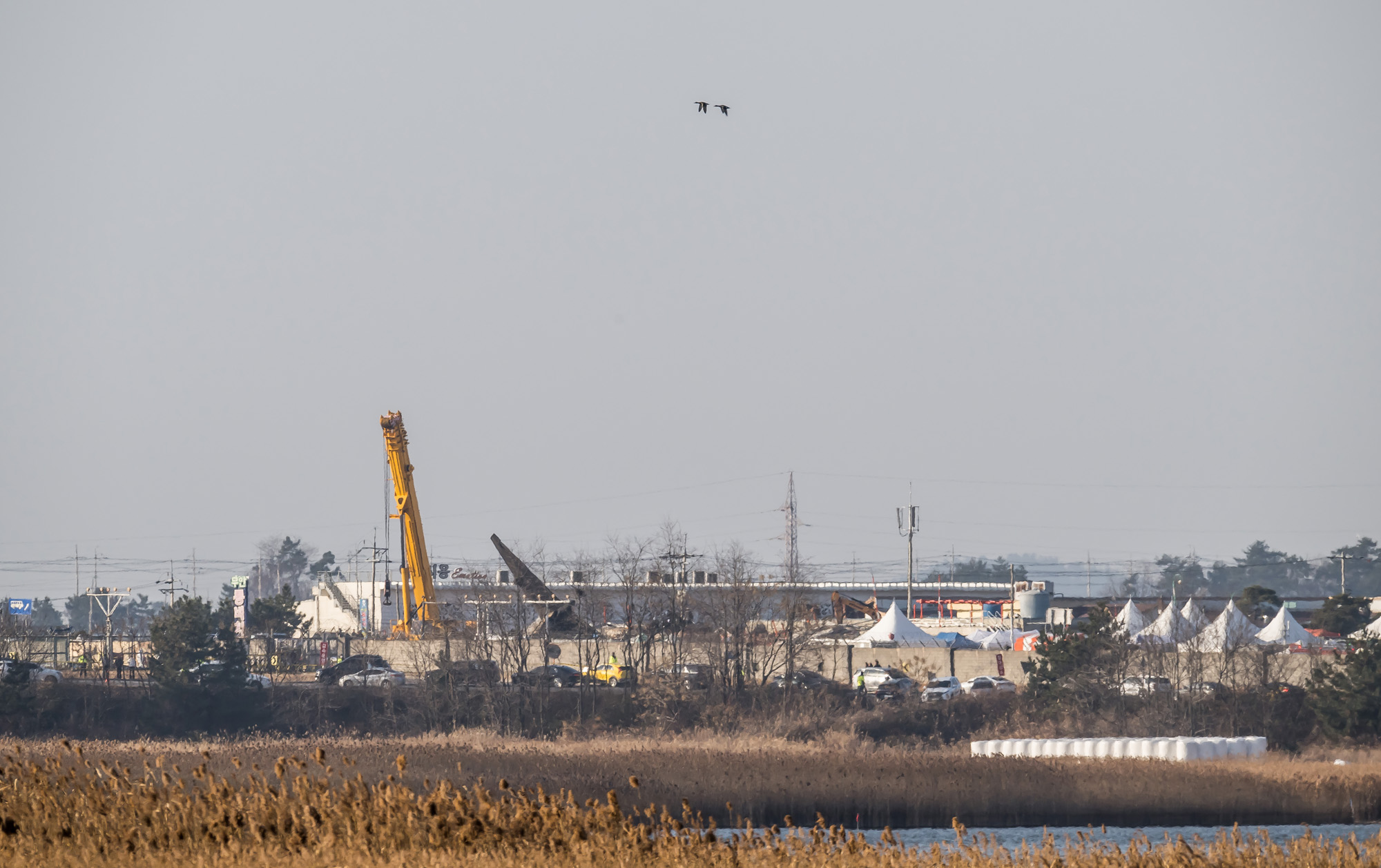 사회;사건사고;사망사고;여객기참사사고;항공기사고;무안국제공항항공기사고;제주항공사망사고;항공기조류충돌;무안공항제주항공여객기참사;제주항공여객기참사;제주항공참사;버드스트라이크;철새떼;새떼충돌;새무리비행