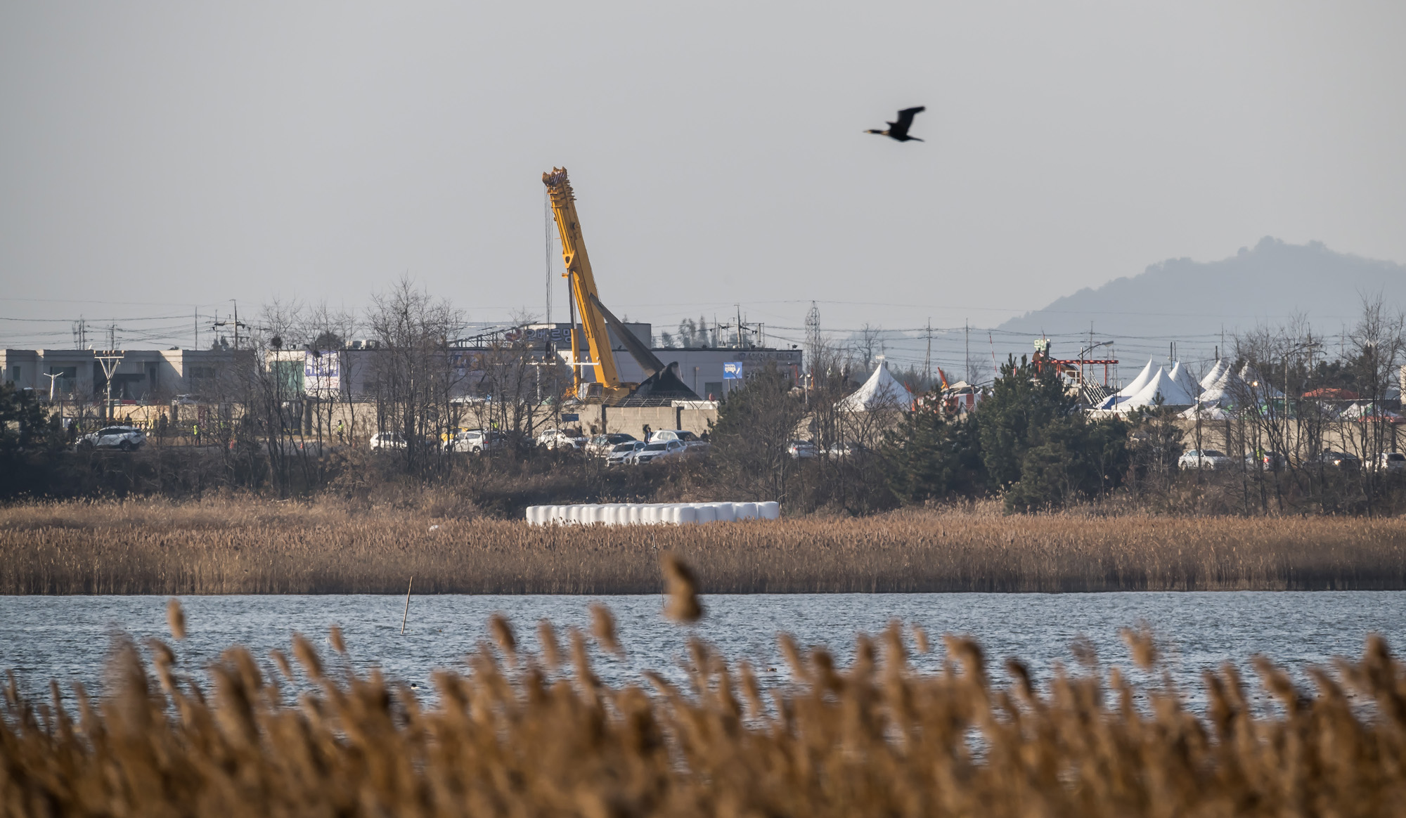 사회;사건사고;사망사고;여객기참사사고;항공기사고;무안국제공항항공기사고;제주항공사망사고;항공기조류충돌;무안공항제주항공여객기참사;제주항공여객기참사;제주항공참사;버드스트라이크;철새떼;새떼충돌;새무리비행