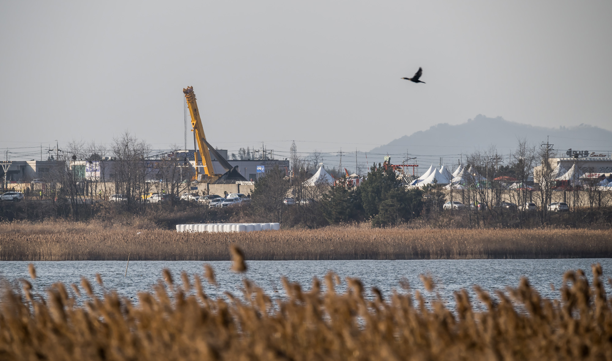 사회;사건사고;사망사고;여객기참사사고;항공기사고;무안국제공항항공기사고;제주항공사망사고;항공기조류충돌;무안공항제주항공여객기참사;제주항공여객기참사;제주항공참사;버드스트라이크;철새떼;새떼충돌;새무리비행