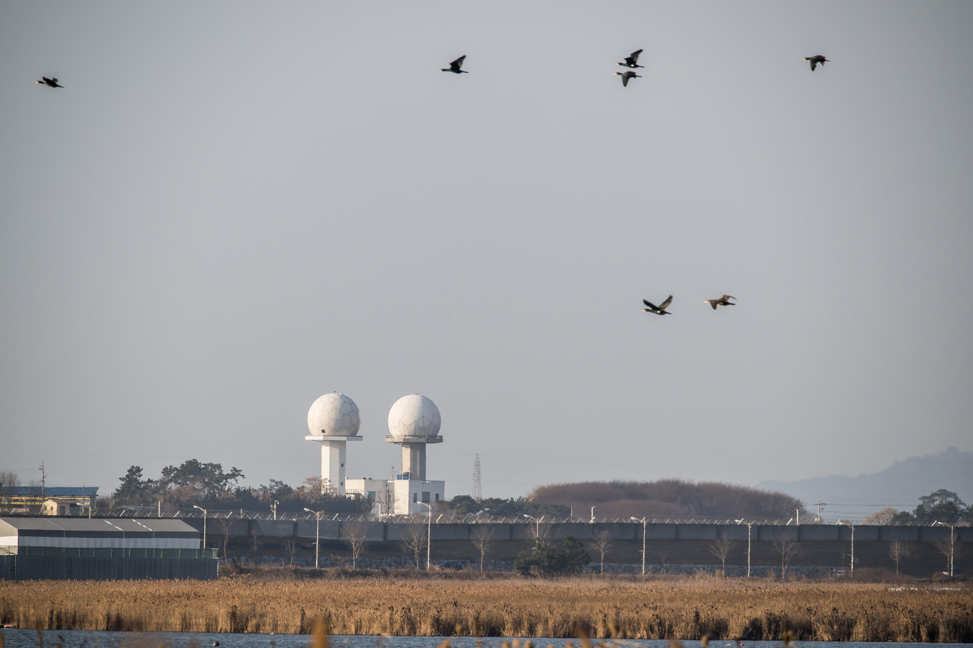 사회;사건사고;사망사고;여객기참사사고;항공기사고;무안국제공항항공기사고;제주항공사망사고;항공기조류충돌;무안공항제주항공여객기참사;제주항공여객기참사;제주항공참사;버드스트라이크;철새떼;새떼충돌;새무리비행