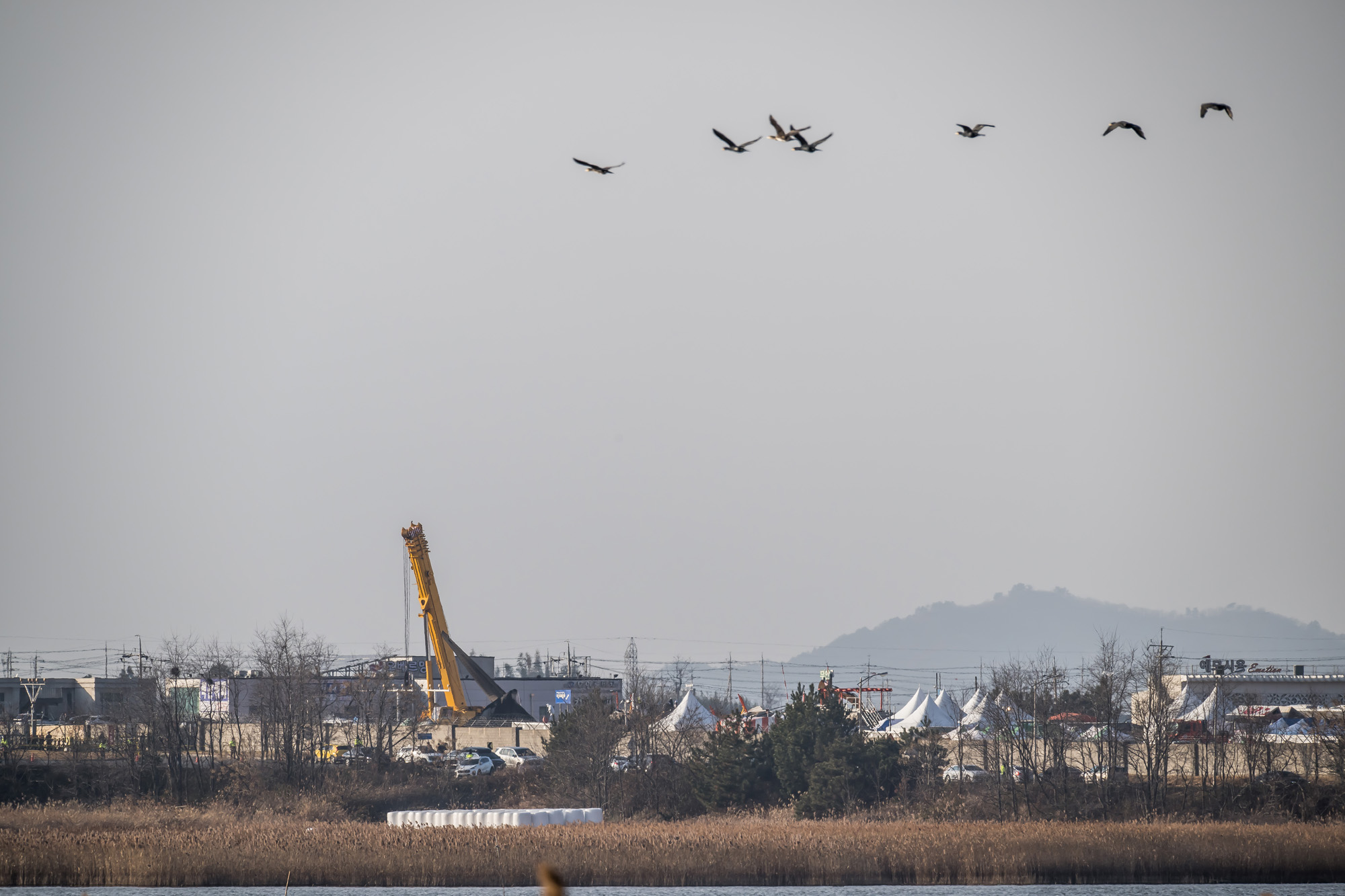 사회;사건사고;사망사고;여객기참사사고;항공기사고;무안국제공항항공기사고;제주항공사망사고;항공기조류충돌;무안공항제주항공여객기참사;제주항공여객기참사;제주항공참사;버드스트라이크;철새떼;새떼충돌;새무리비행