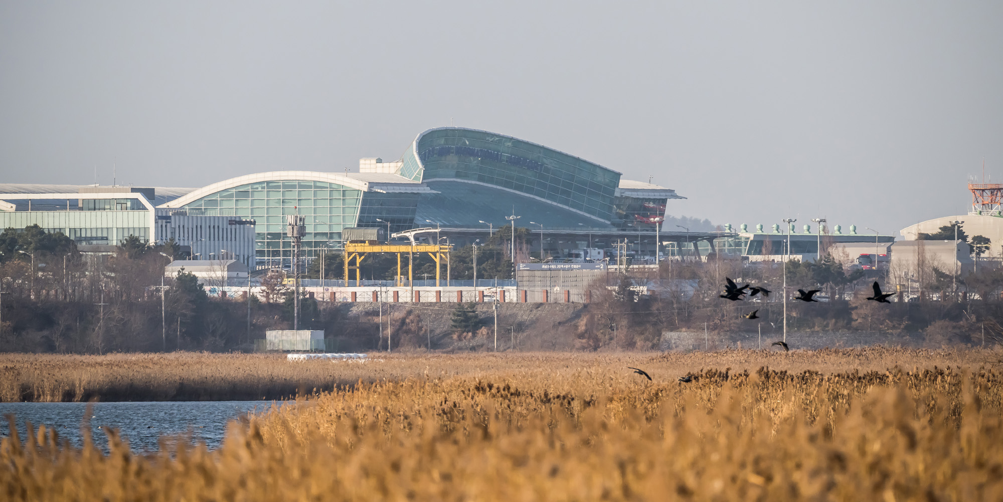 사회;사건사고;사망사고;여객기참사사고;항공기사고;무안국제공항항공기사고;제주항공사망사고;항공기조류충돌;무안공항제주항공여객기참사;제주항공여객기참사;제주항공참사;버드스트라이크;철새떼;새떼충돌;새무리비행
