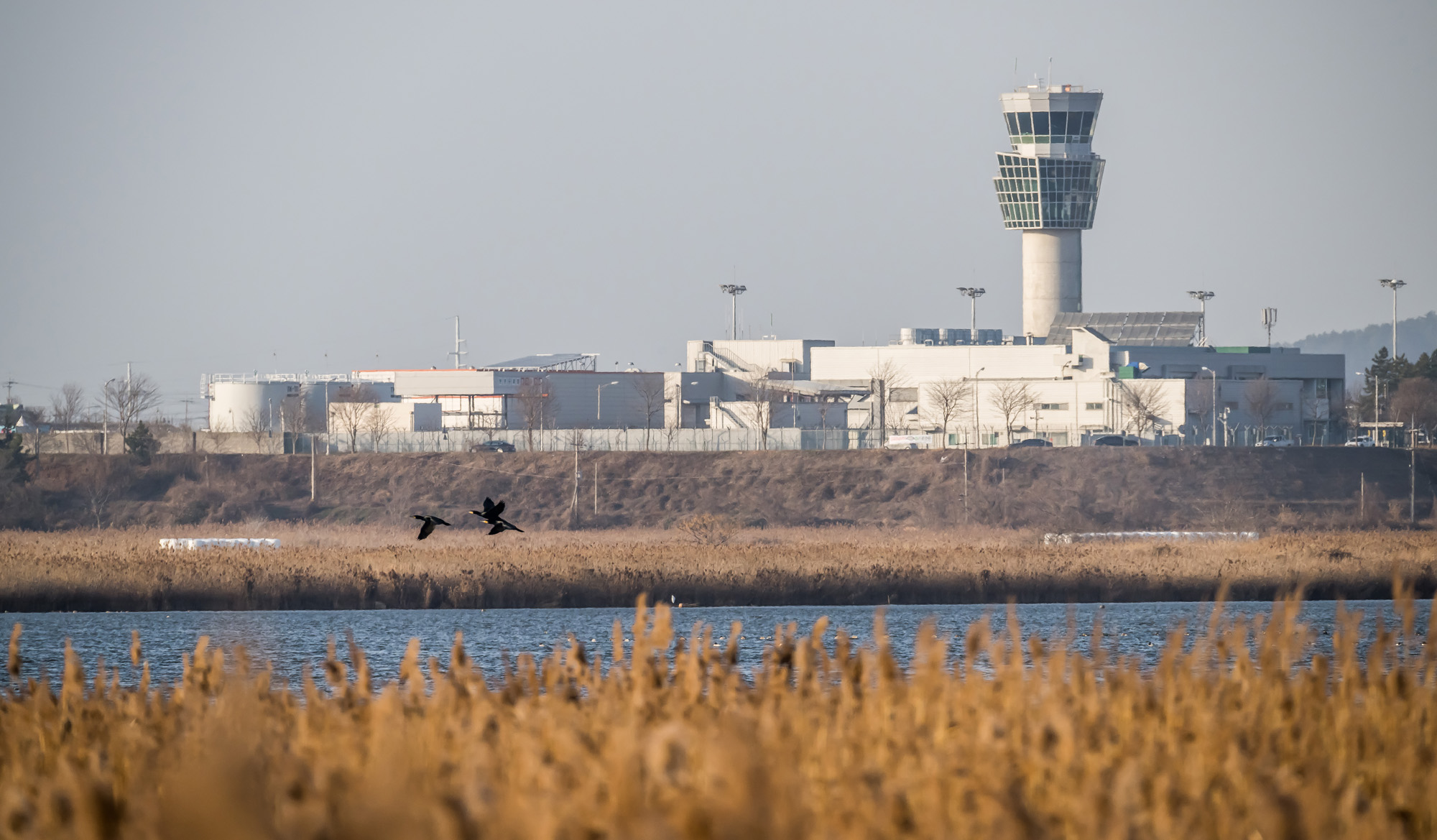 사회;사건사고;사망사고;여객기참사사고;항공기사고;무안국제공항항공기사고;제주항공사망사고;항공기조류충돌;무안공항제주항공여객기참사;제주항공여객기참사;제주항공참사;버드스트라이크;철새떼;새떼충돌;새무리비행
