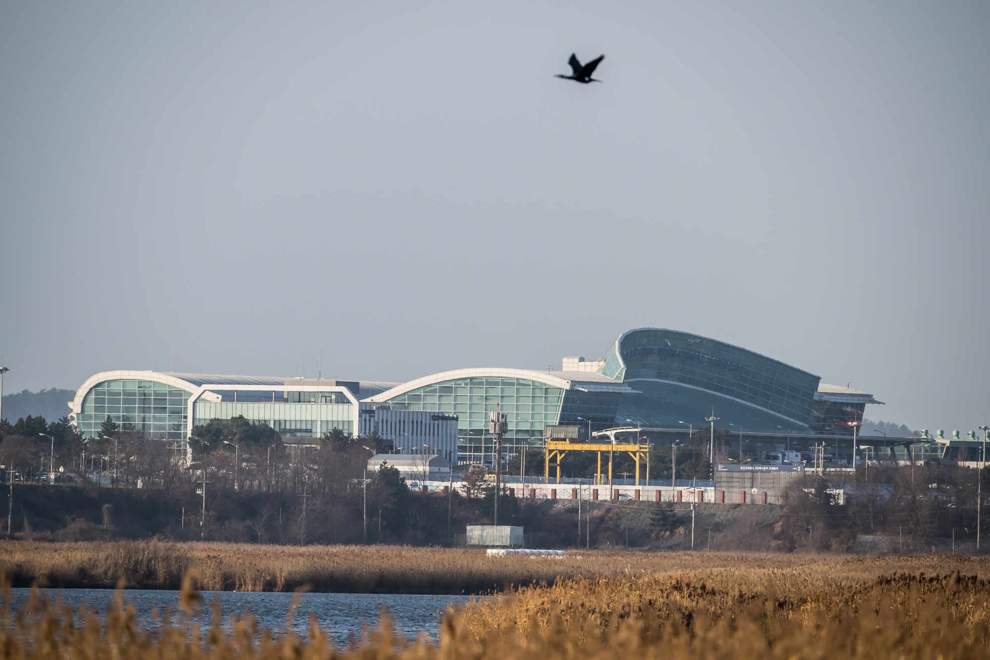 사회;사건사고;사망사고;여객기참사사고;항공기사고;무안국제공항항공기사고;제주항공사망사고;항공기조류충돌;무안공항제주항공여객기참사;제주항공여객기참사;제주항공참사;버드스트라이크;철새떼;새떼충돌;새무리비행