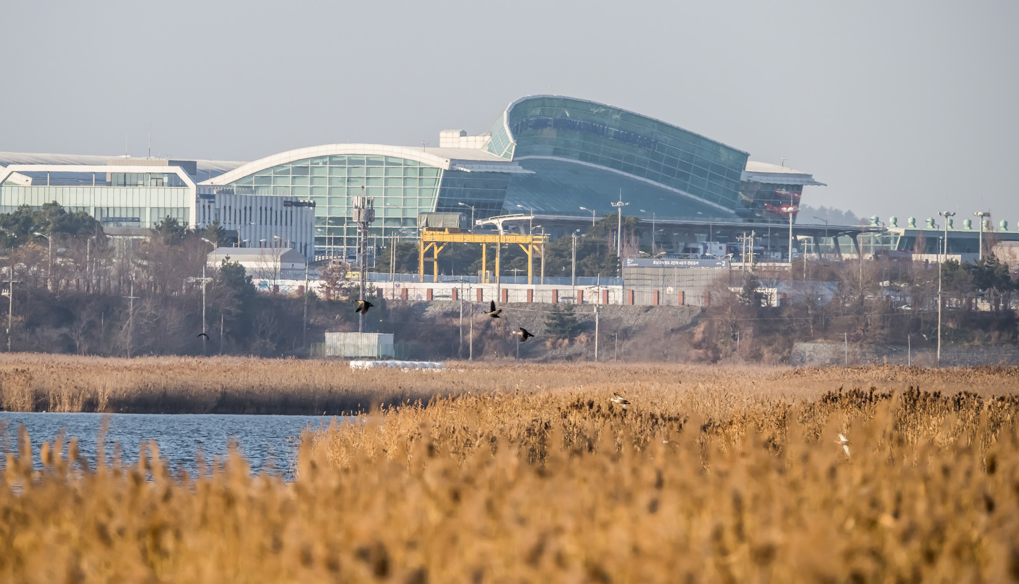 사회;사건사고;사망사고;여객기참사사고;항공기사고;무안국제공항항공기사고;제주항공사망사고;항공기조류충돌;무안공항제주항공여객기참사;제주항공여객기참사;제주항공참사;버드스트라이크;철새떼;새떼충돌;새무리비행