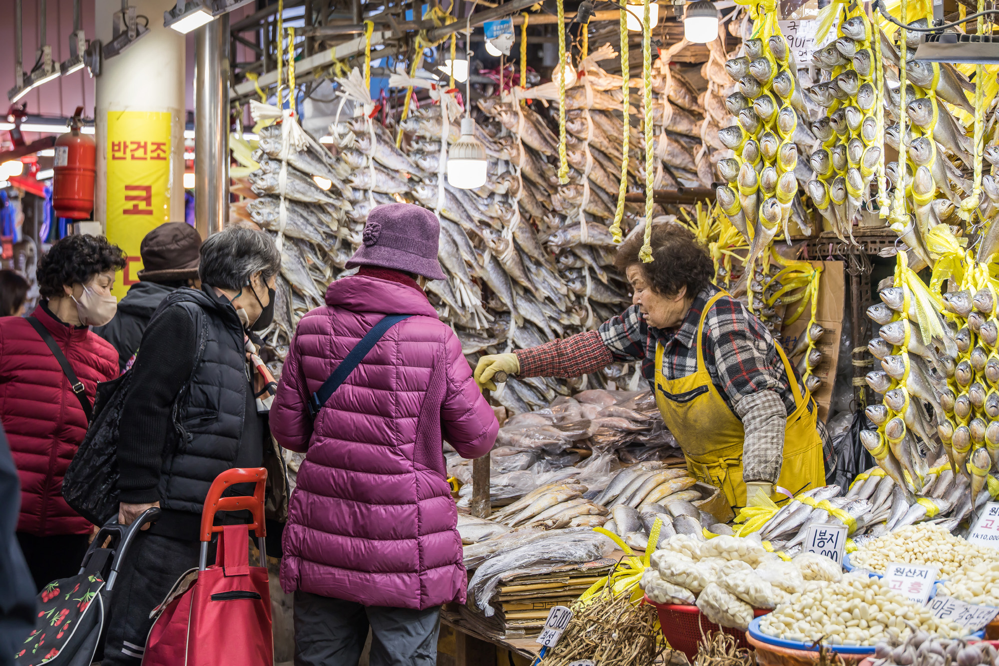 사회;세태;경제;설연휴;설날;구정;설명절장보기;설제수용품;경동시장;재래시장;재래시장명절장보기