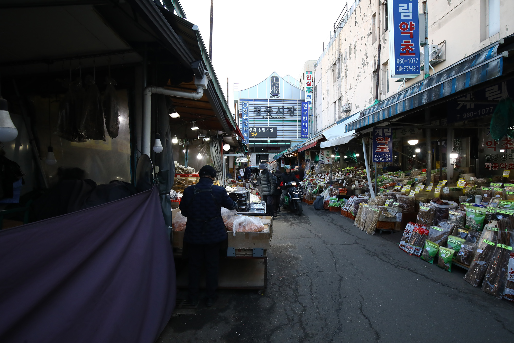 재래시장 경동시장 경제