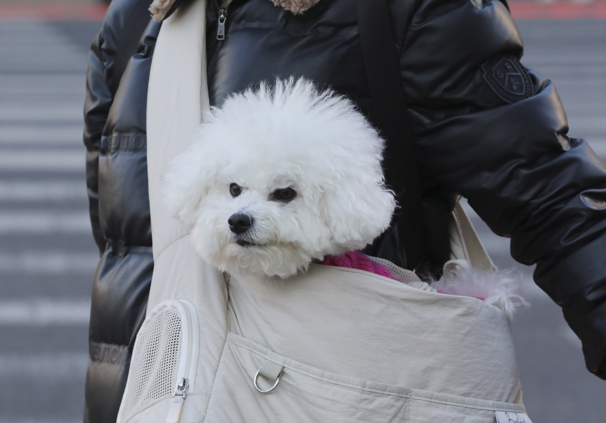 한파;추위;한파경보