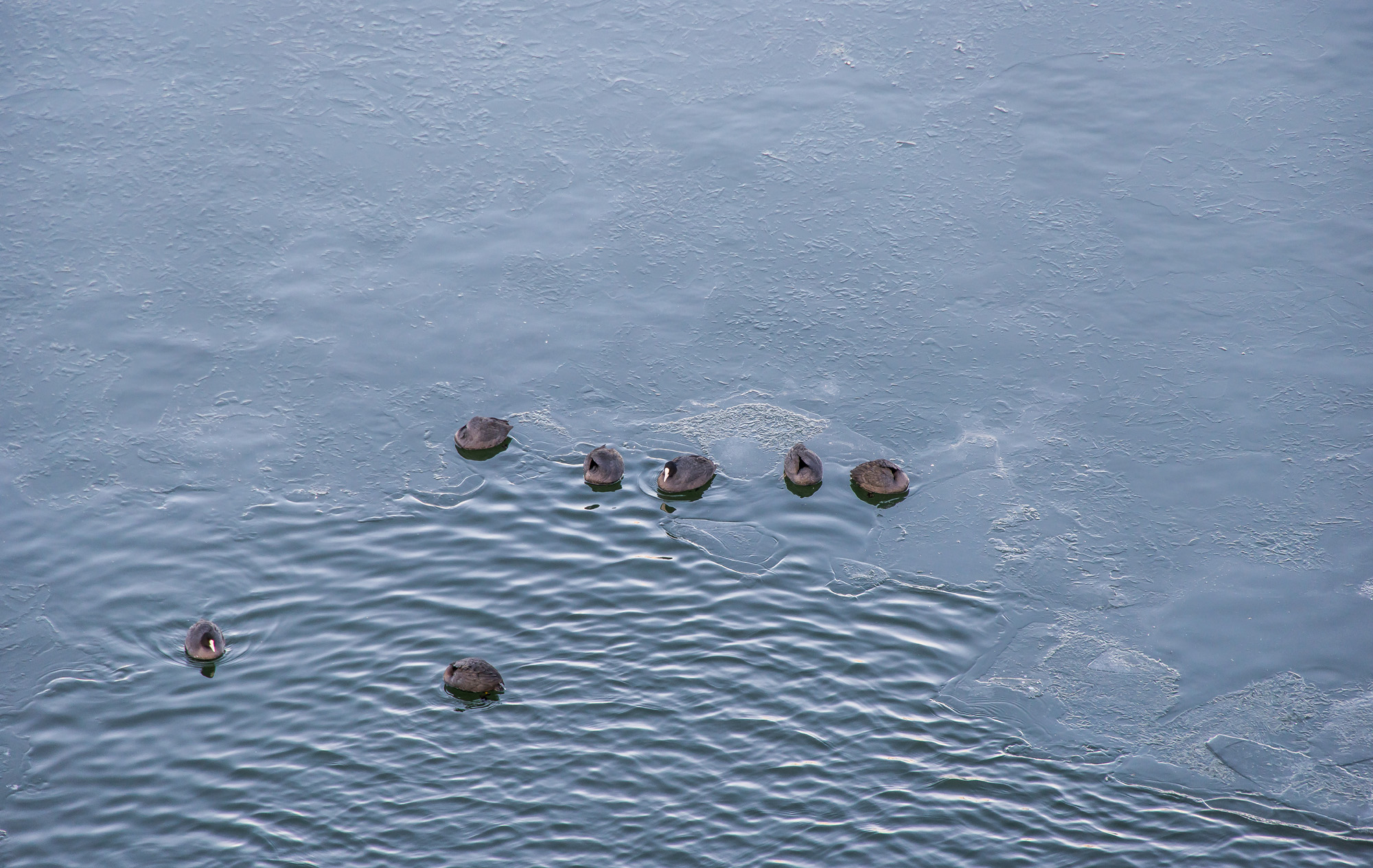 사회;세태;날씨스케치;추위스케치;한파스케치;한강결빙;한강얼음;한강대교
