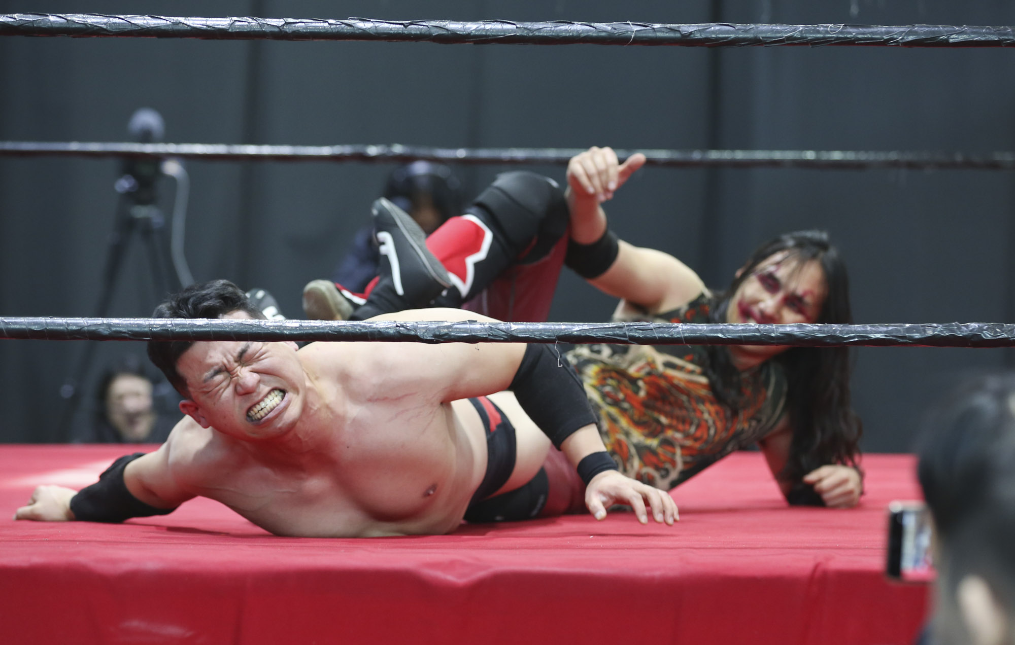 프로레슬링;한국프로레슬링;레슬링