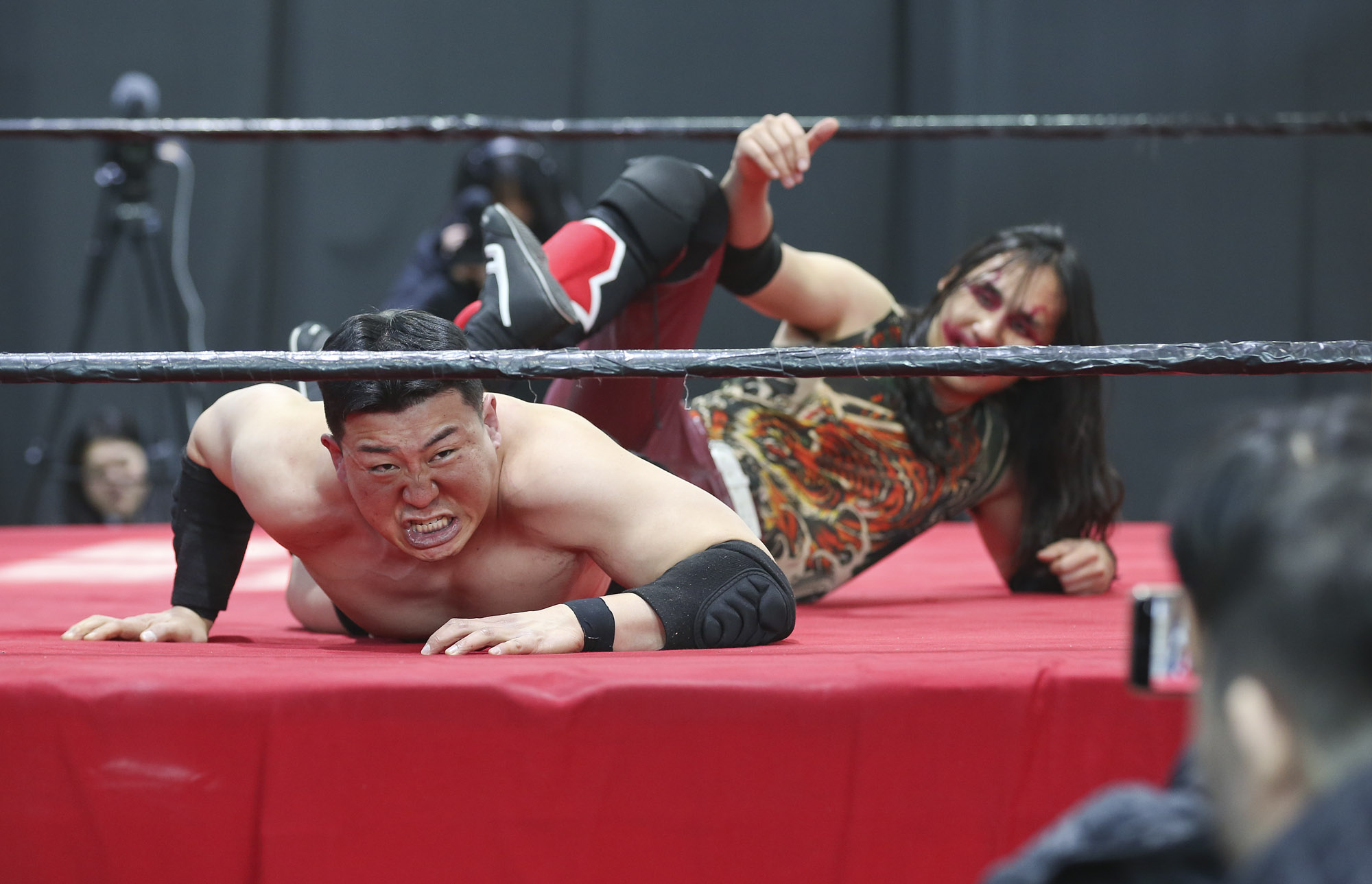 프로레슬링;한국프로레슬링;레슬링