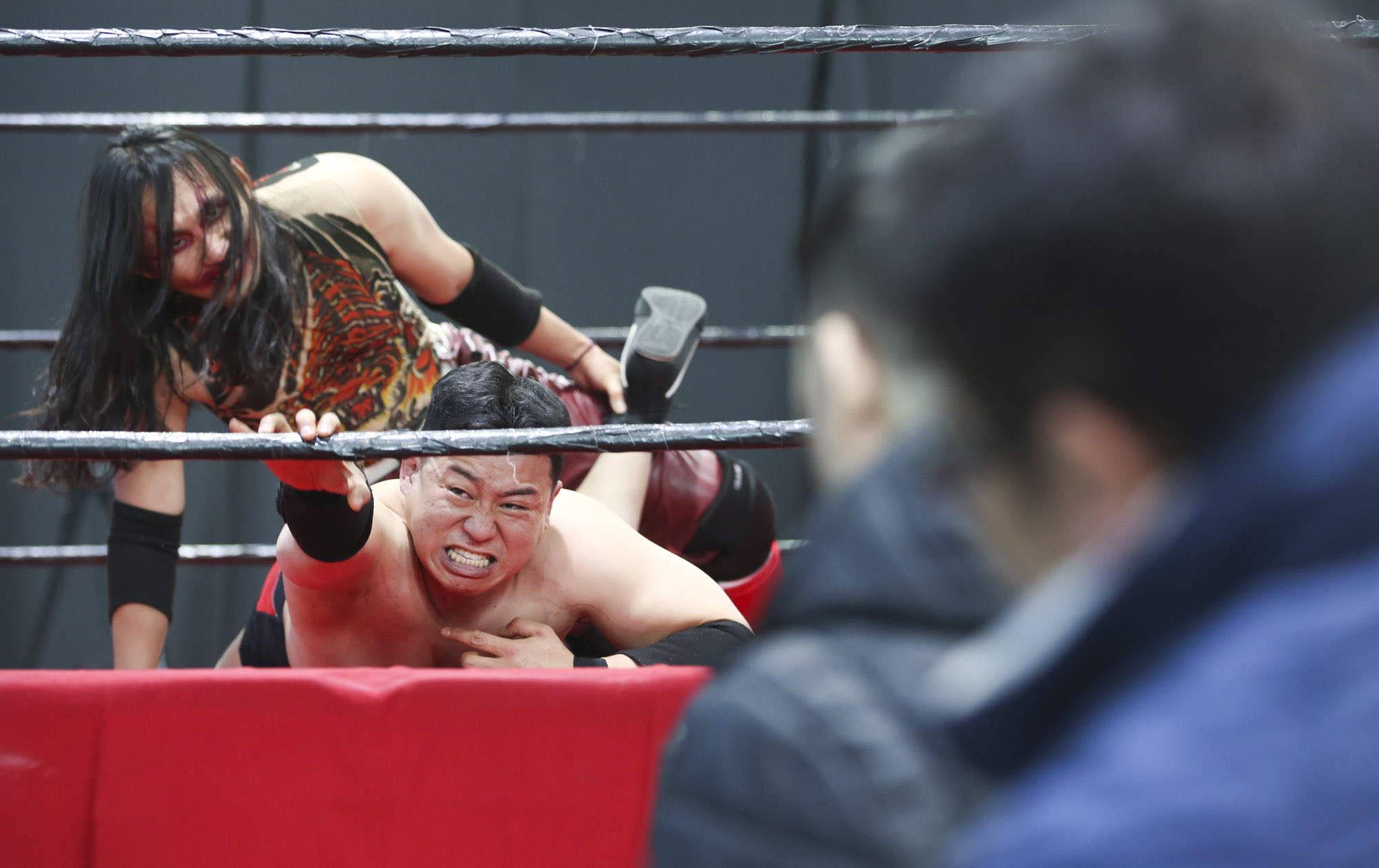 프로레슬링;한국프로레슬링;레슬링