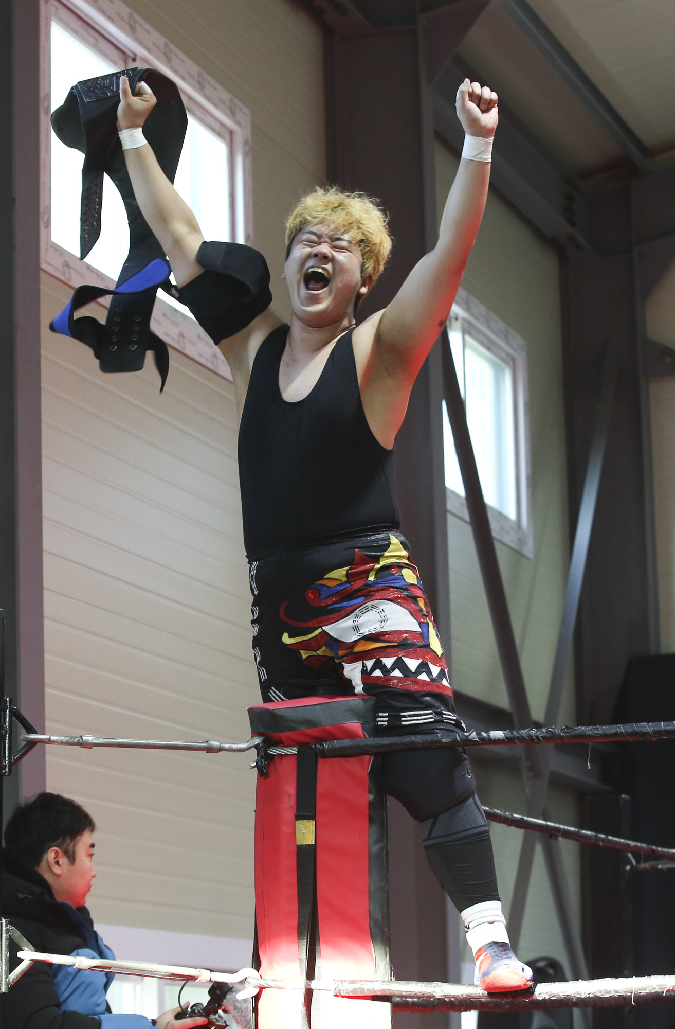 프로레슬링;한국프로레슬링;레슬링