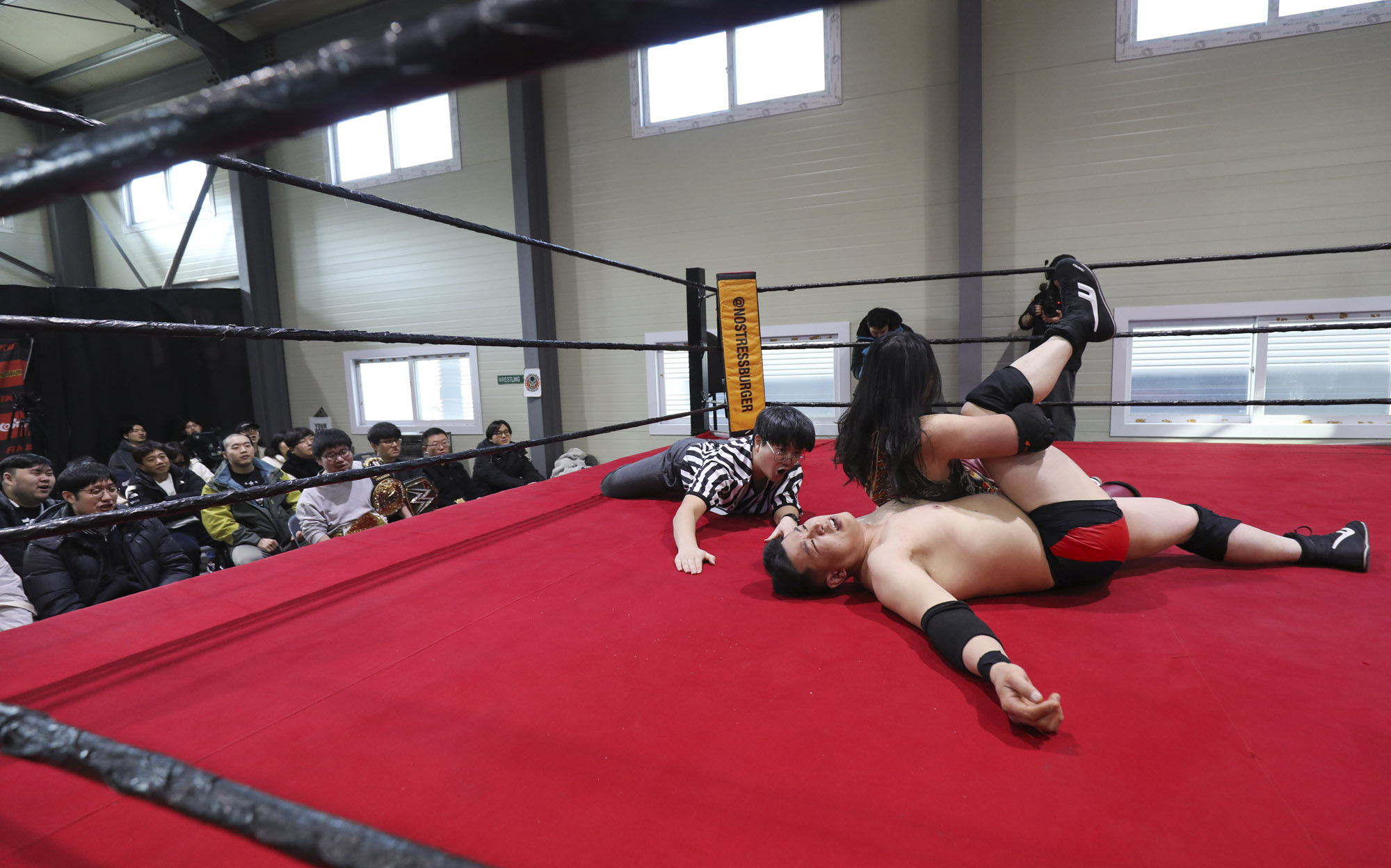 프로레슬링;한국프로레슬링;레슬링