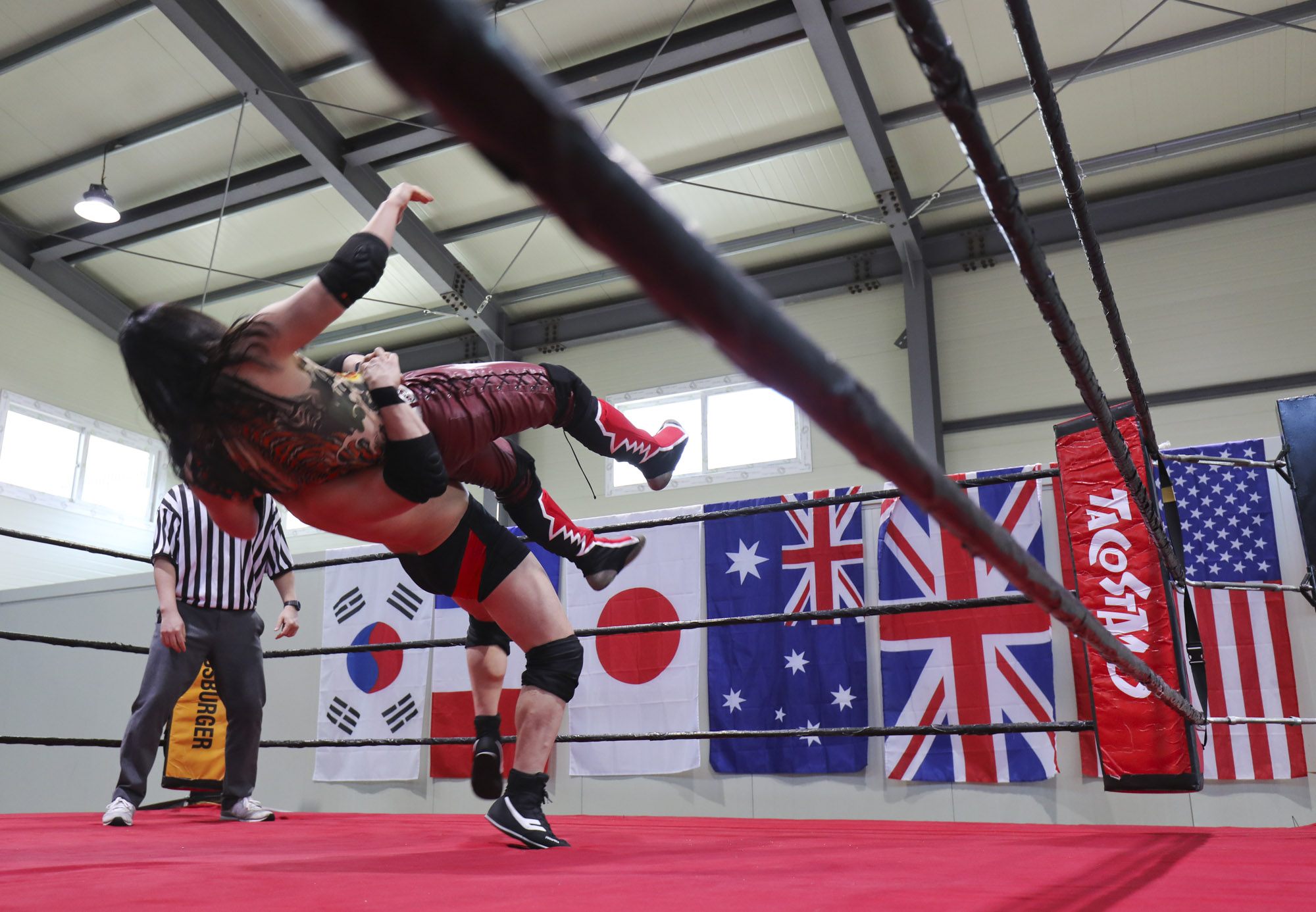 프로레슬링;한국프로레슬링;레슬링