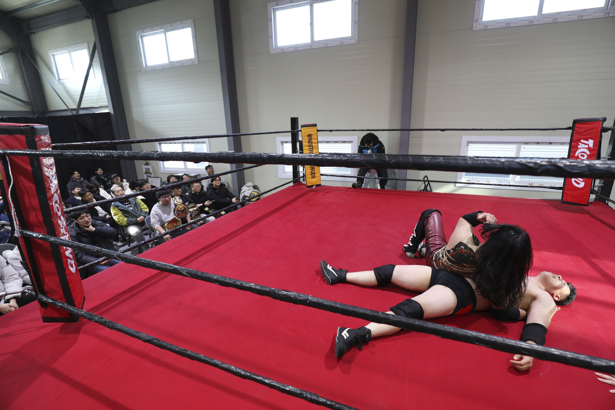 프로레슬링;한국프로레슬링;레슬링