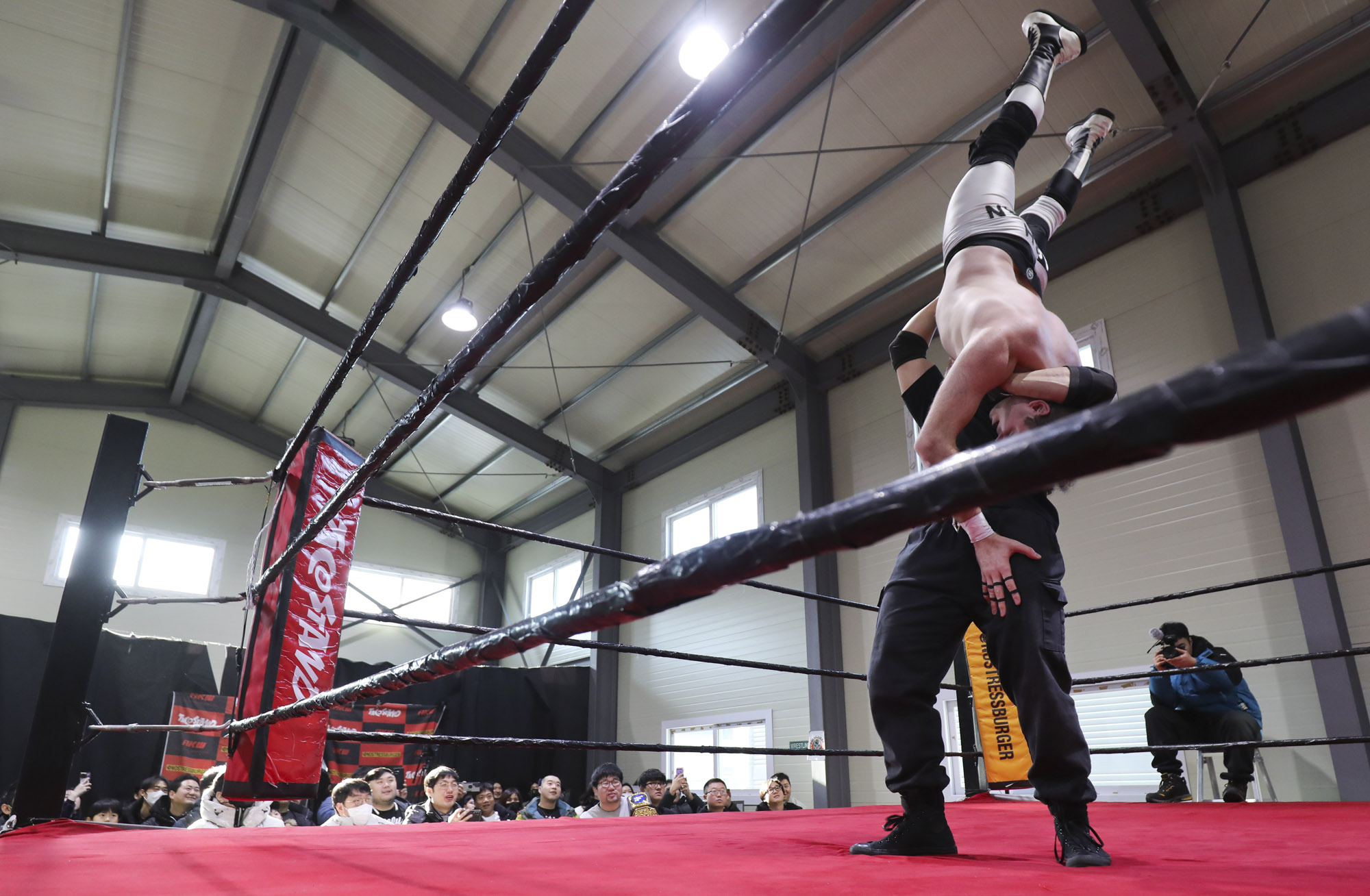 프로레슬링;한국프로레슬링;레슬링