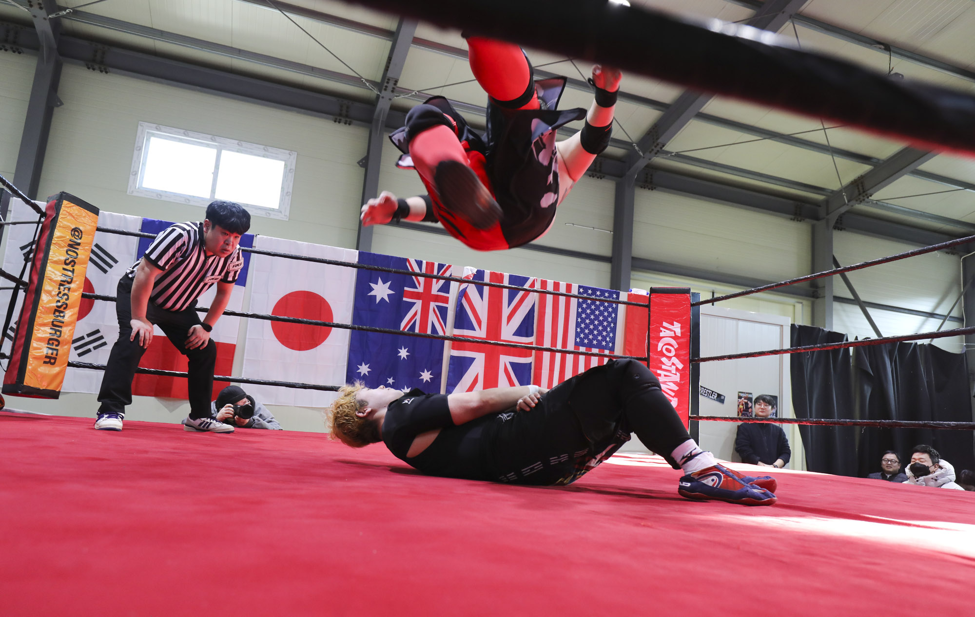 프로레슬링;한국프로레슬링;레슬링