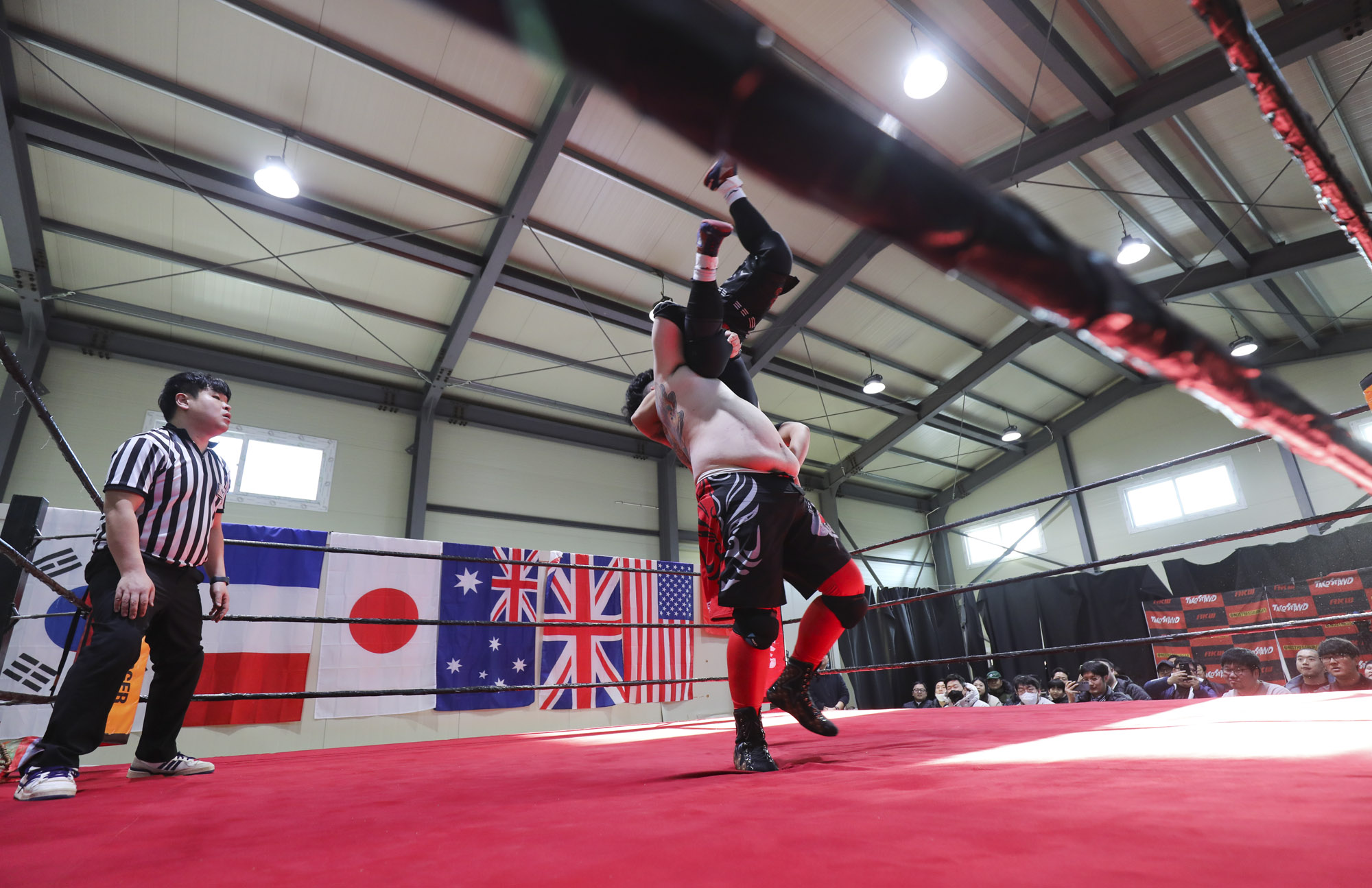 프로레슬링;한국프로레슬링;레슬링