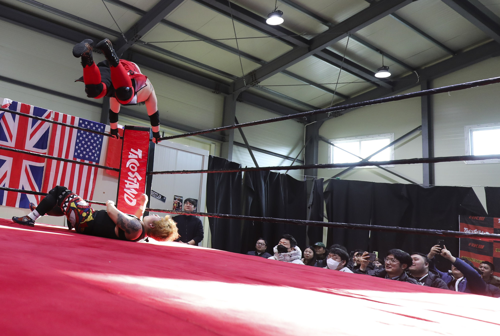 프로레슬링;한국프로레슬링;레슬링