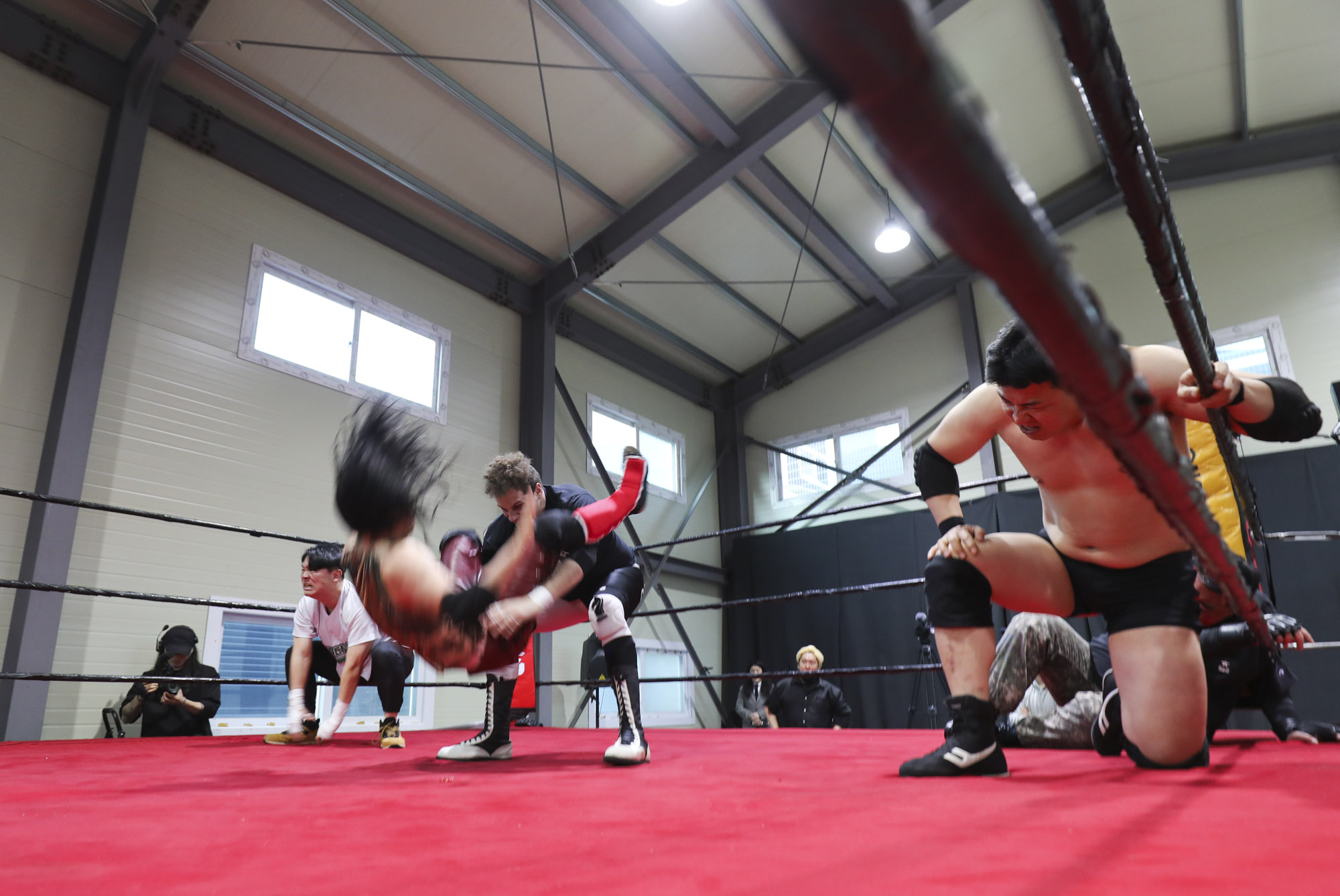 프로레슬링;한국프로레슬링;레슬링