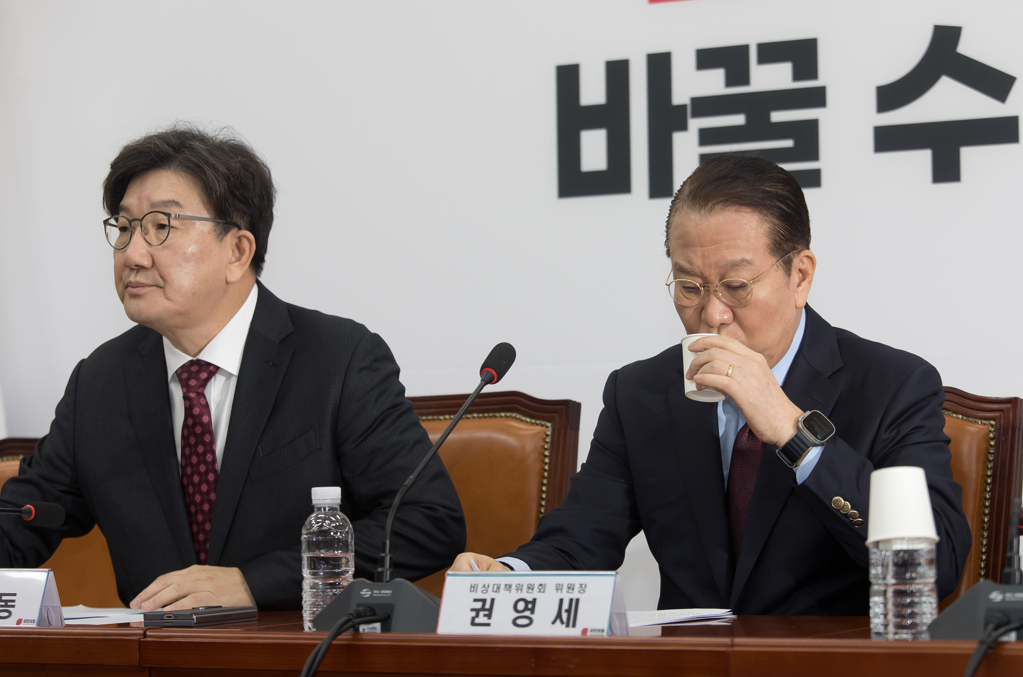 정치;정당;국민의힘;비상대책위원회