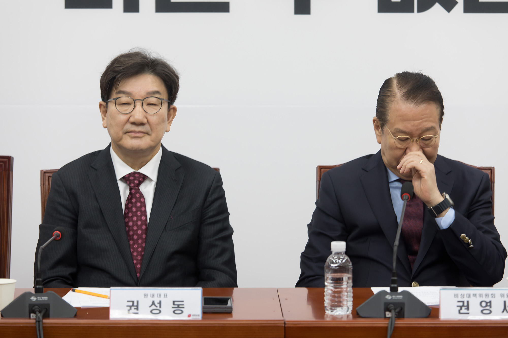 정치;정당;국민의힘;비상대책위원회