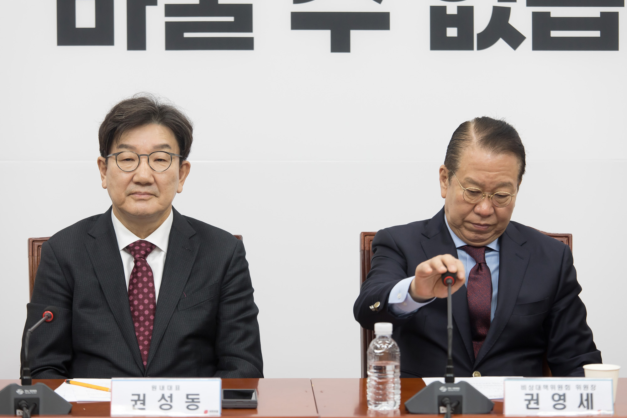 정치;정당;국민의힘;비상대책위원회