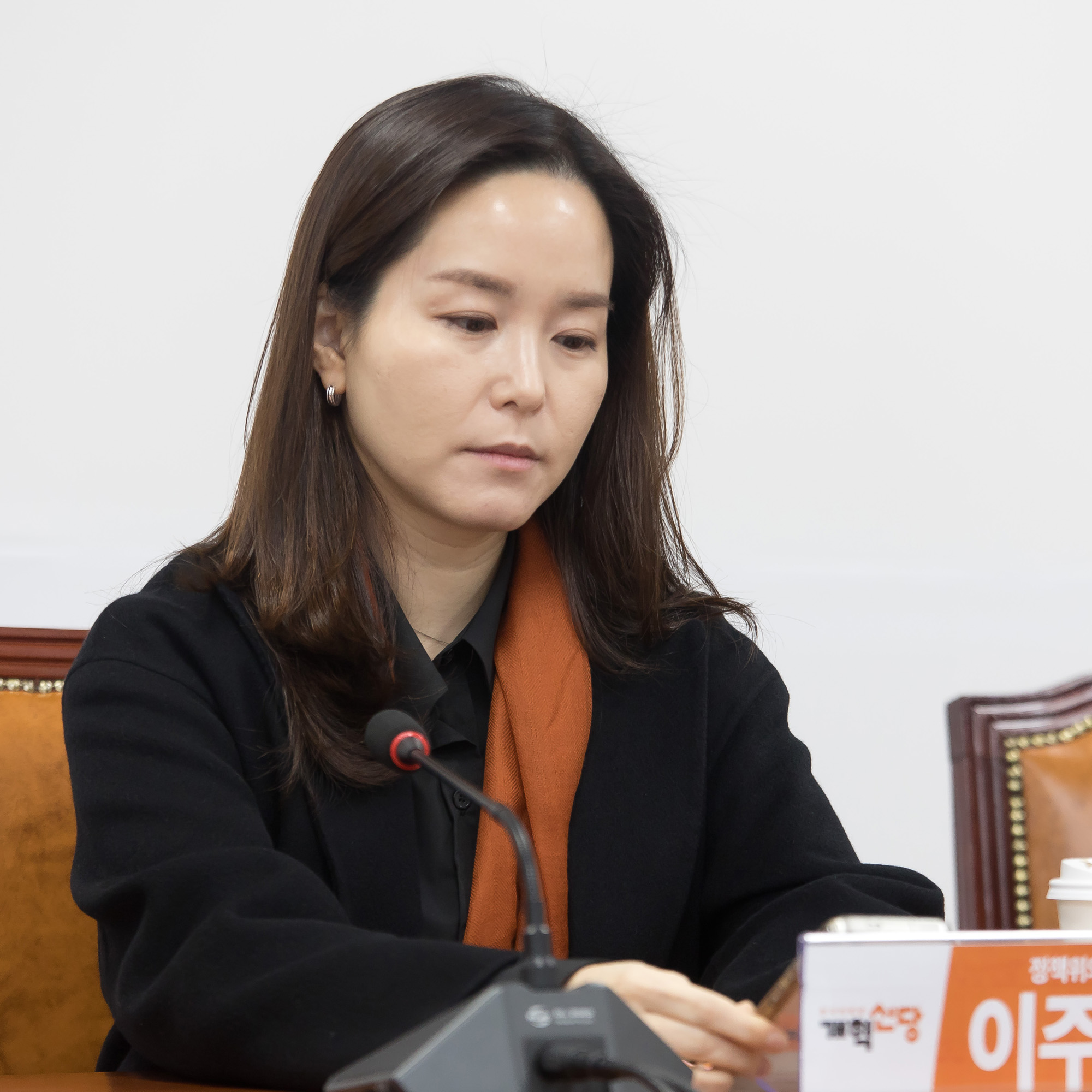 정치;정당;개혁신당;최고위원회의