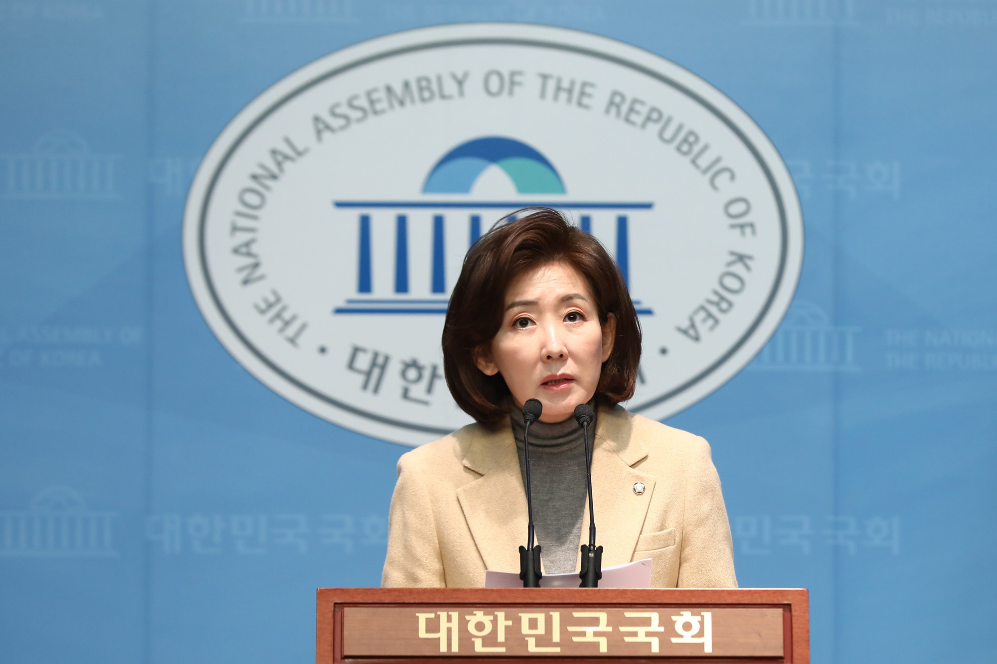 정치;국회;기자회견;나경원