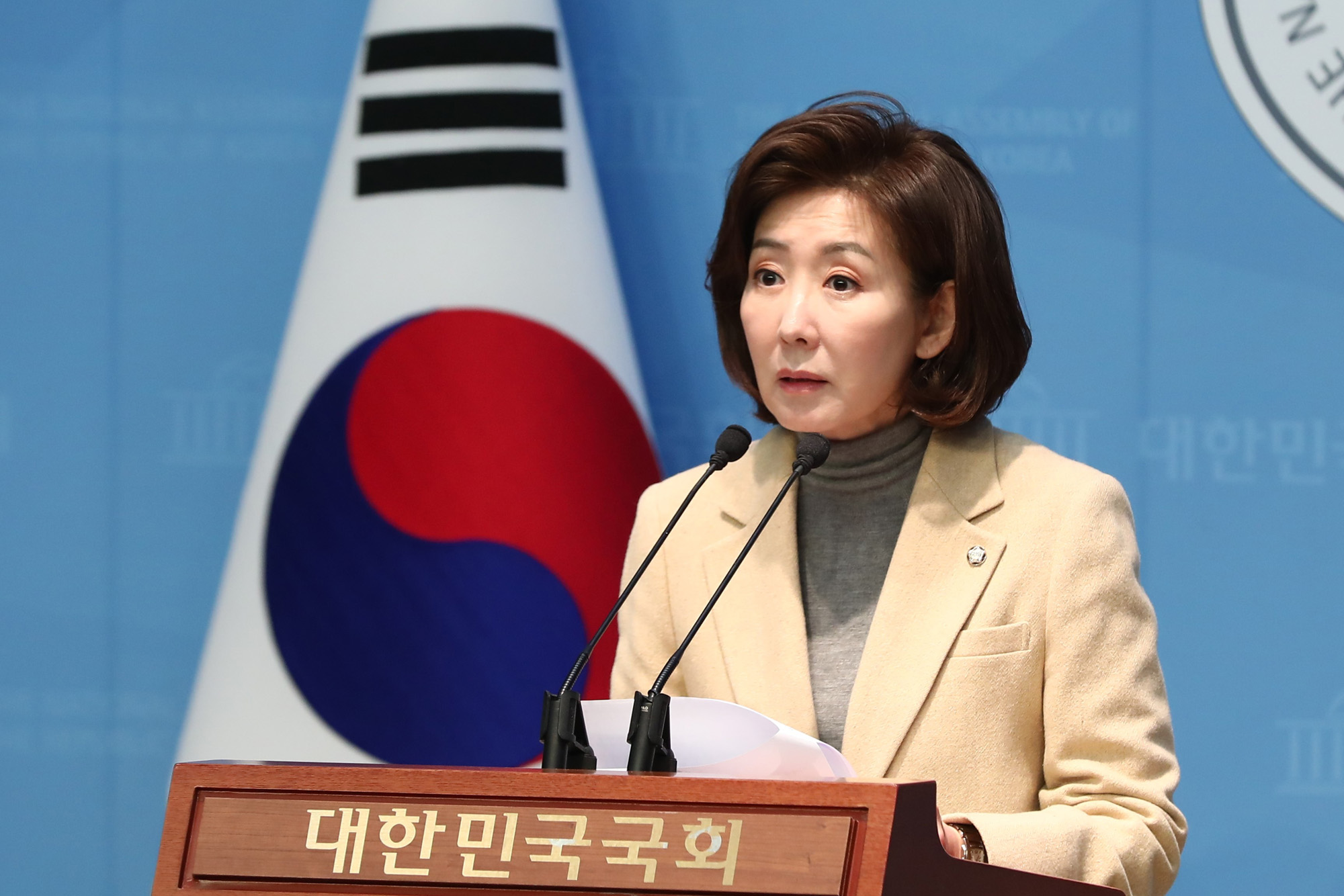 정치;국회;기자회견;나경원