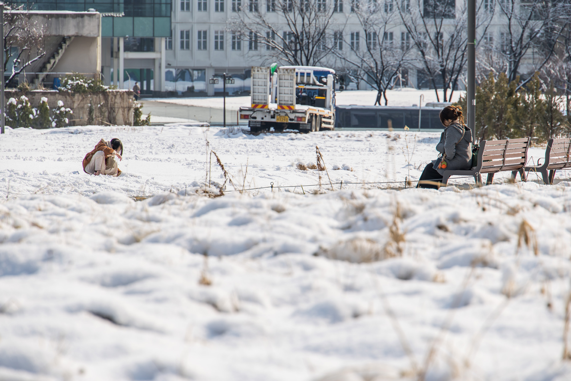 사회;날씨스케치;봄스케치;눈스케치;폭설스케치;광화문광장눈;3월눈스케치