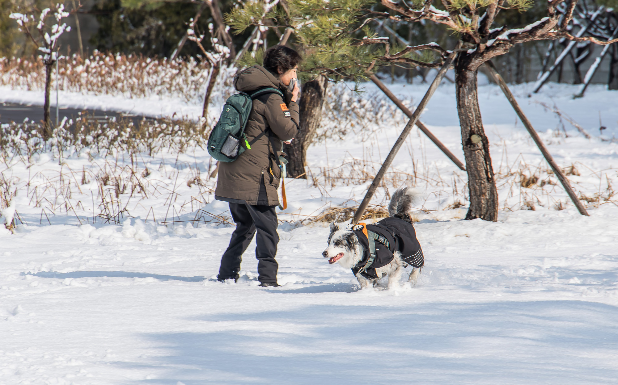 사회;날씨스케치;봄스케치;눈스케치;폭설스케치;광화문광장눈;3월눈스케치