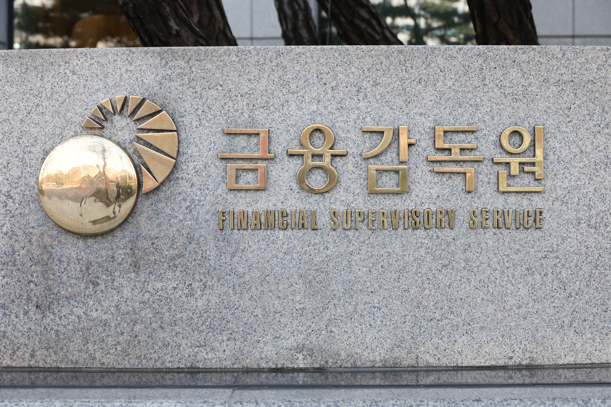 금융감독원 금감원