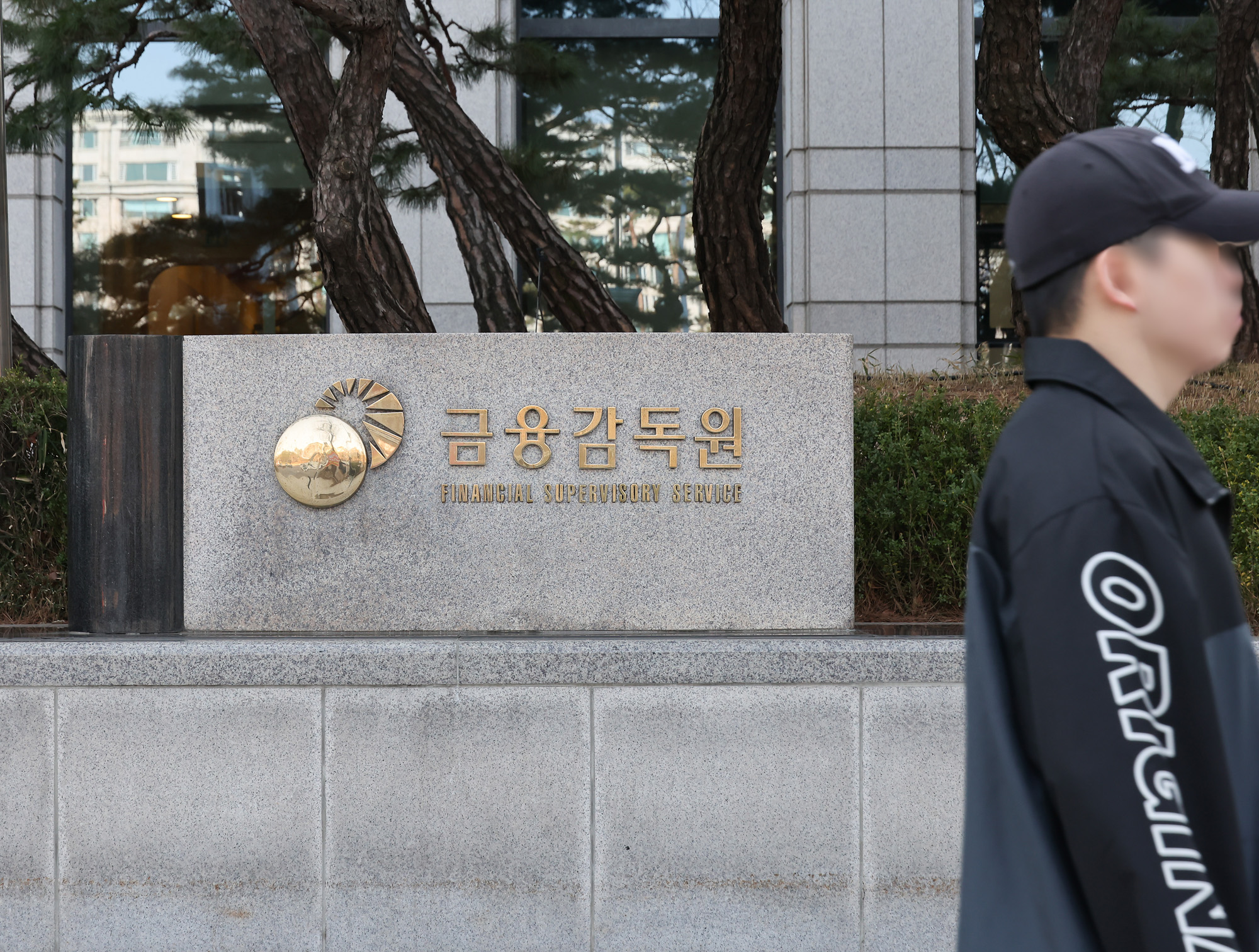 금융감독원 금감원