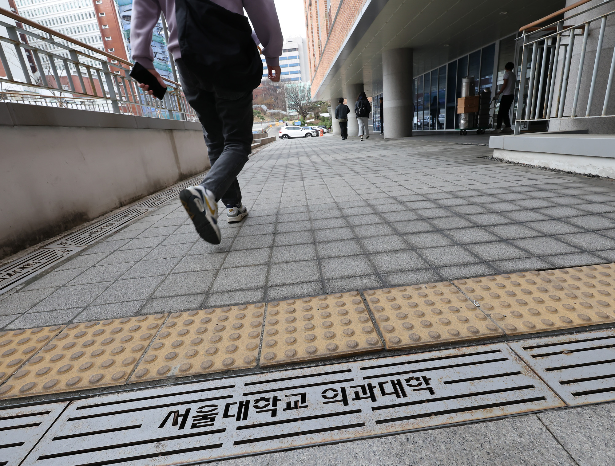 서울대 의대 의과대학