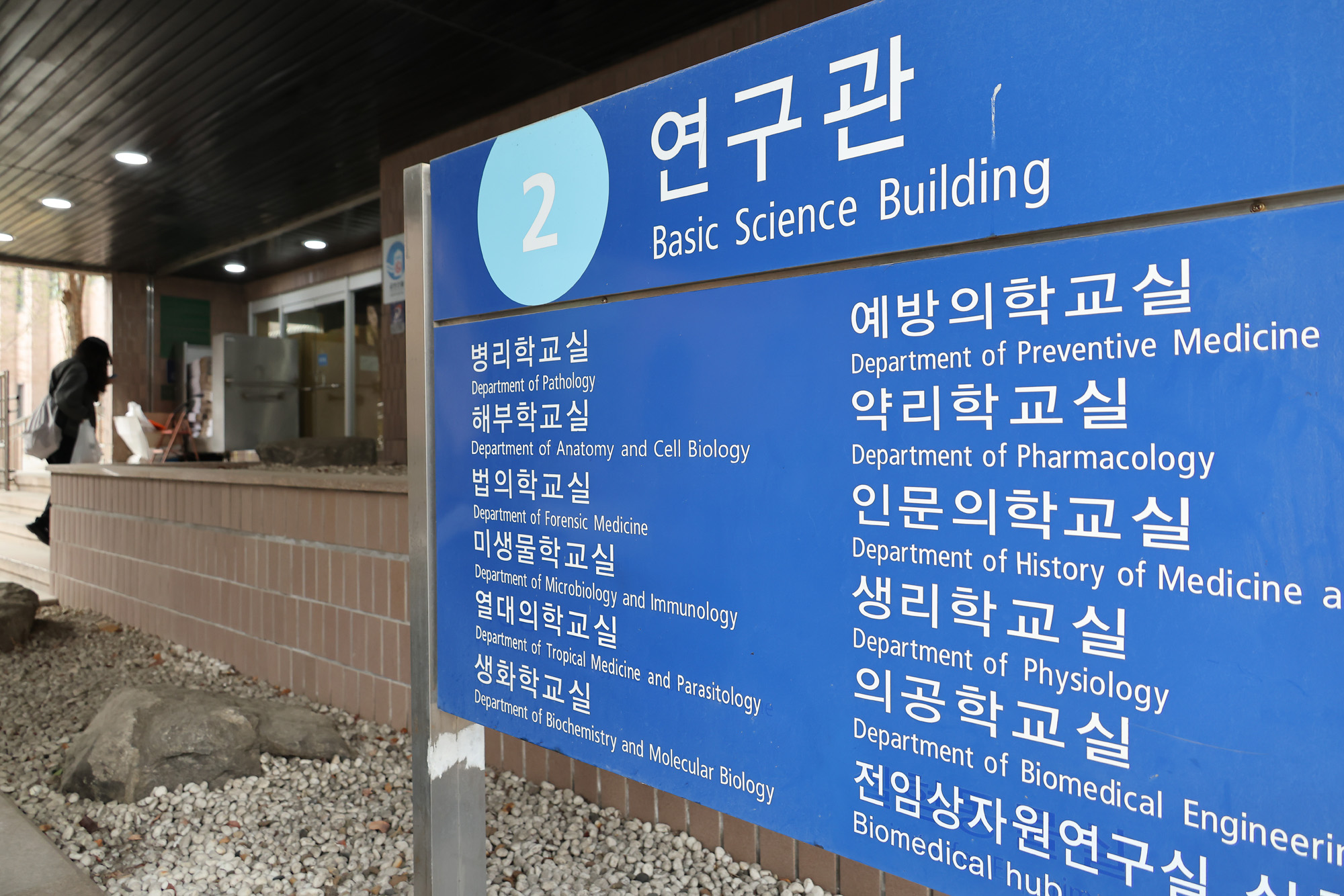 서울대 의대 의과대학