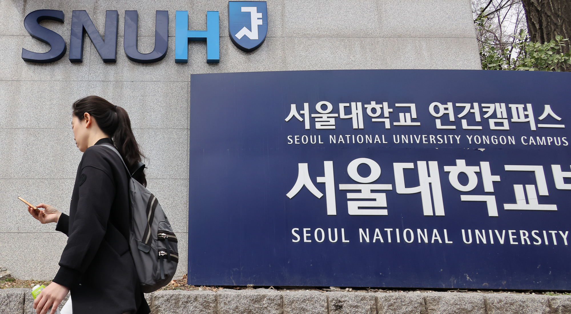 서울대 의대 의과대학