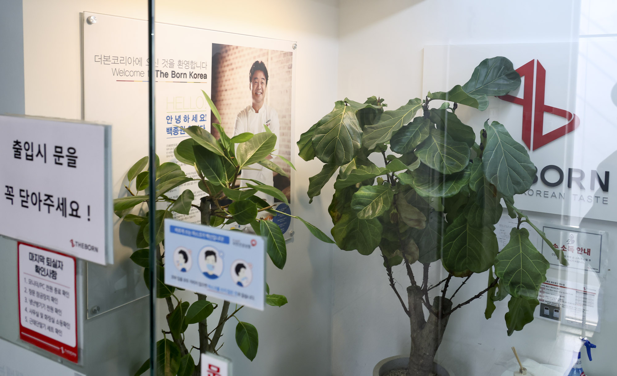 더본코리아;더본코리아본사;빽다방