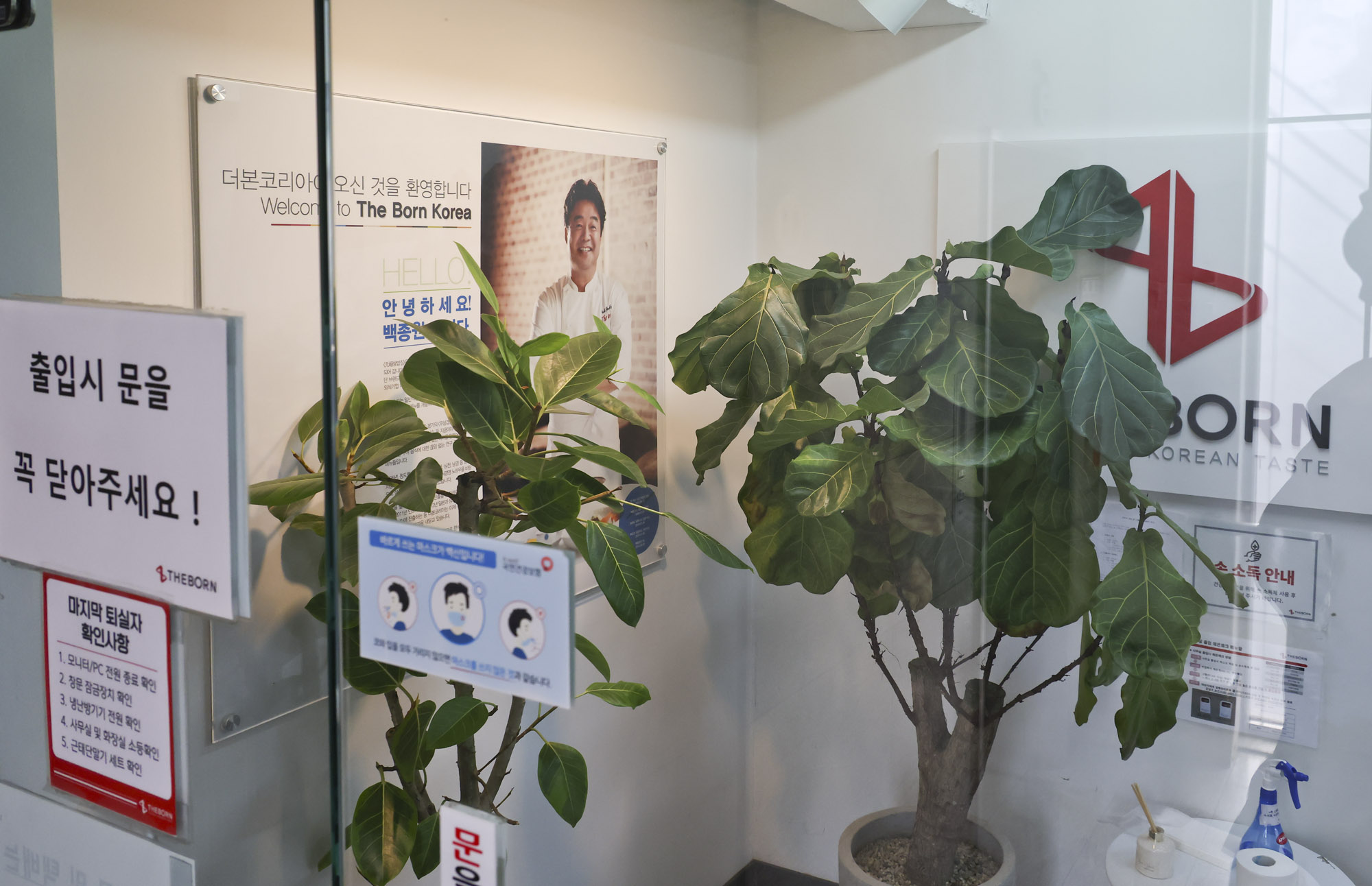 더본코리아;더본코리아본사;빽다방