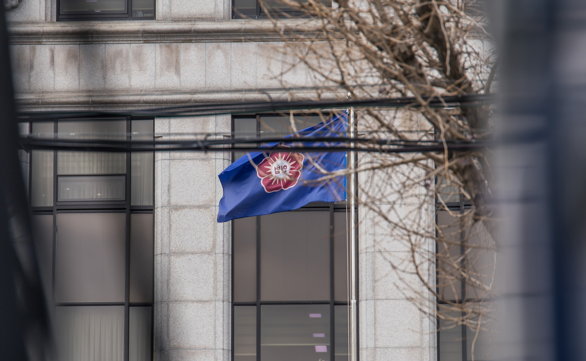 사회;벚꽃스케치;계절스케치;봄스케치;헌법재판소;헌재벚꽃스케치;헌법재판소벚꽃개화