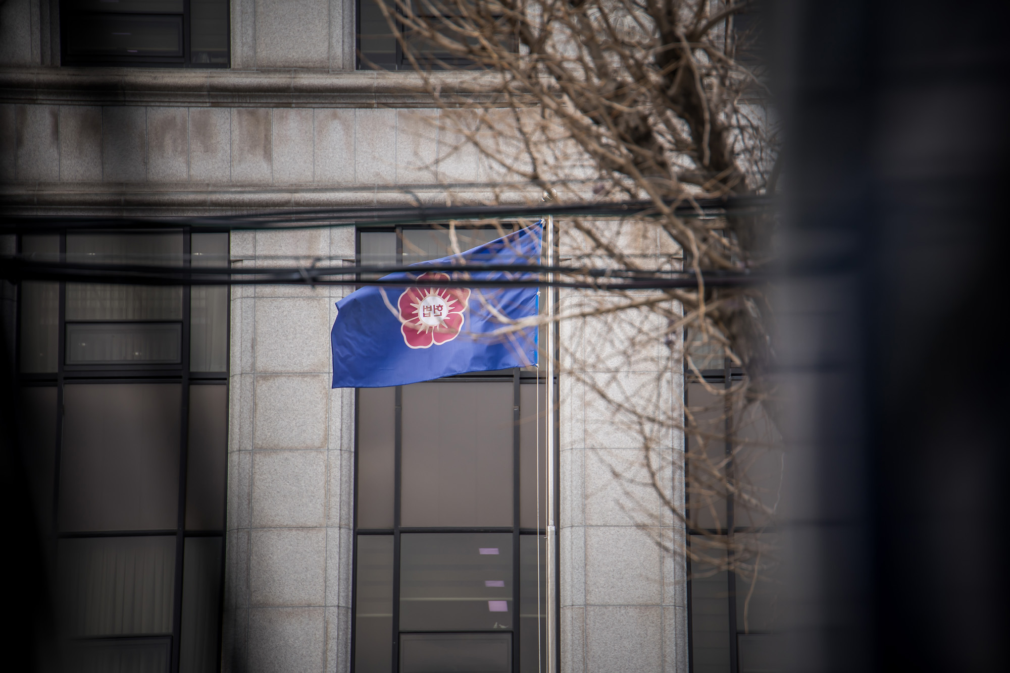 사회;벚꽃스케치;계절스케치;봄스케치;헌법재판소;헌재벚꽃스케치;헌법재판소벚꽃개화