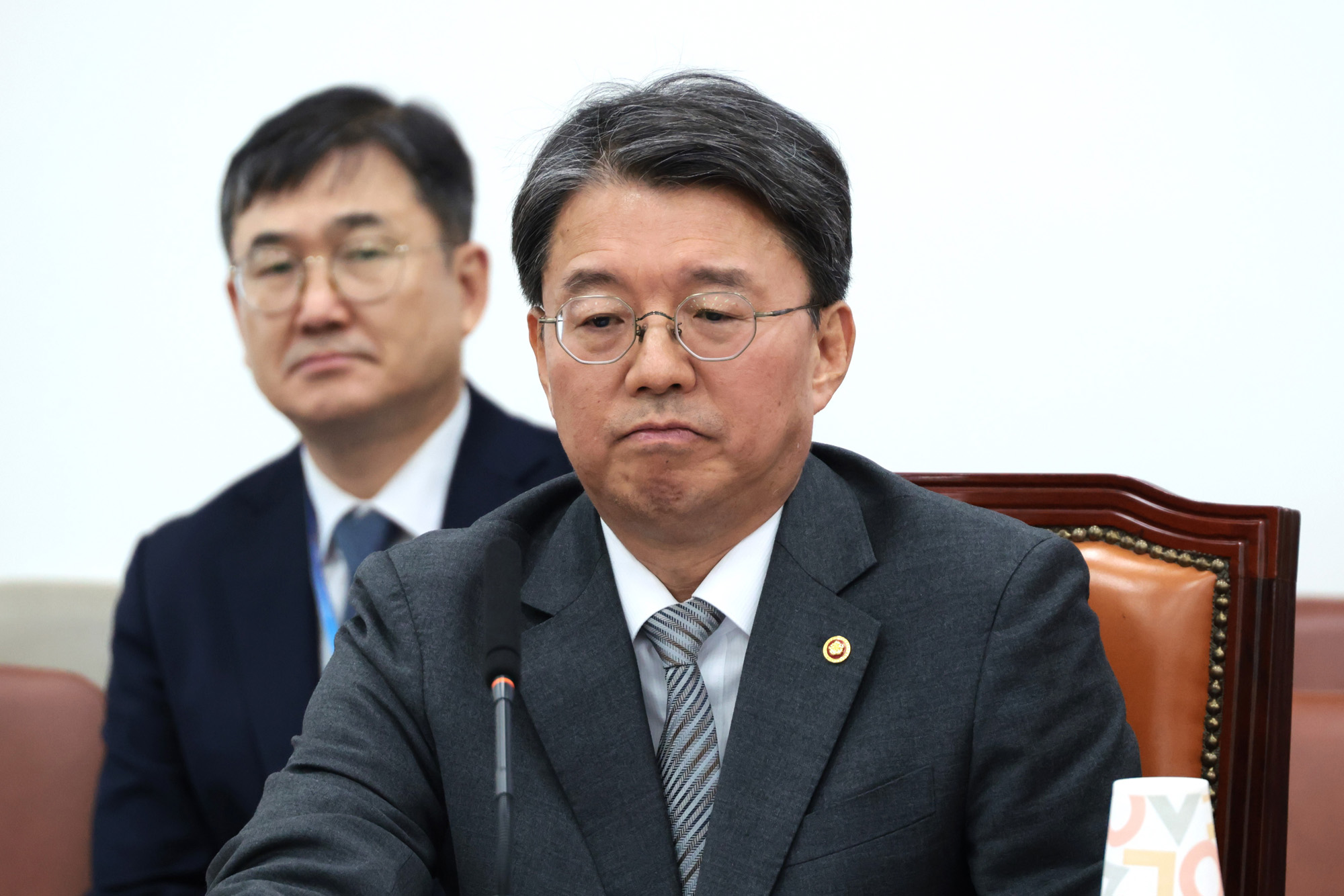 정치;국회;법제사법위원회;김정원 헌법재판소 사무처장;헌법재판소법개정안