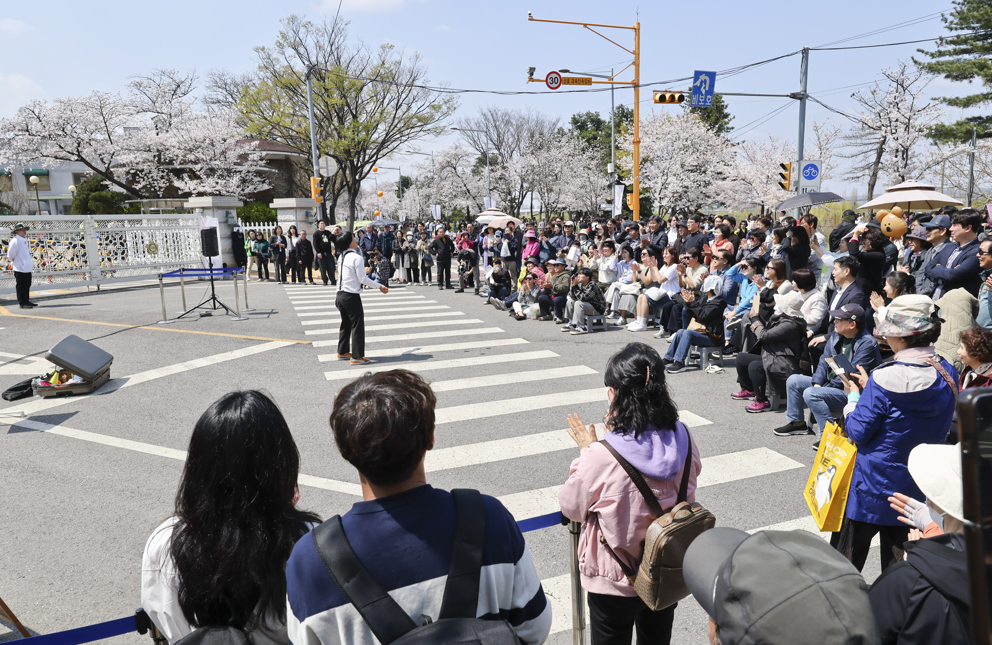 여의도;여의도벚꽃