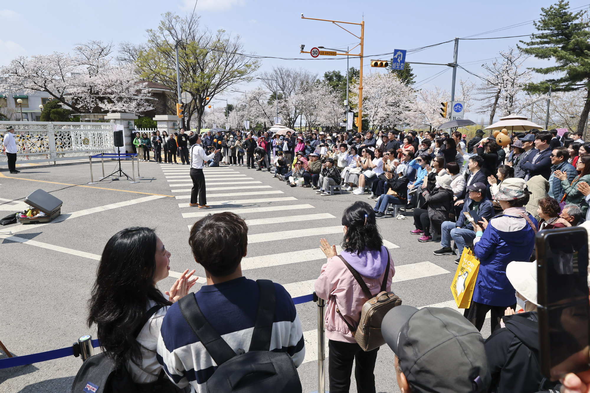 여의도;여의도벚꽃