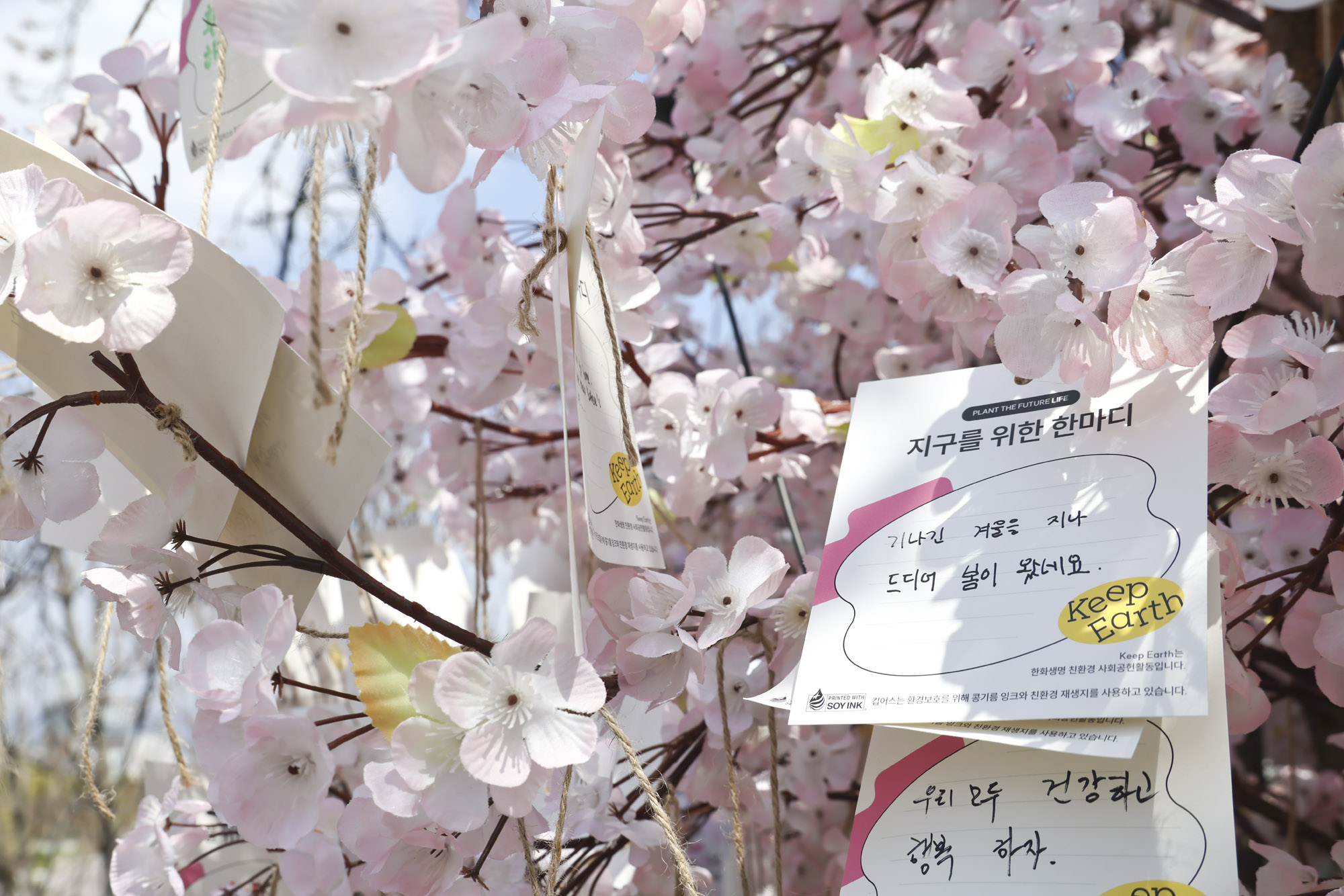 여의도;여의도벚꽃