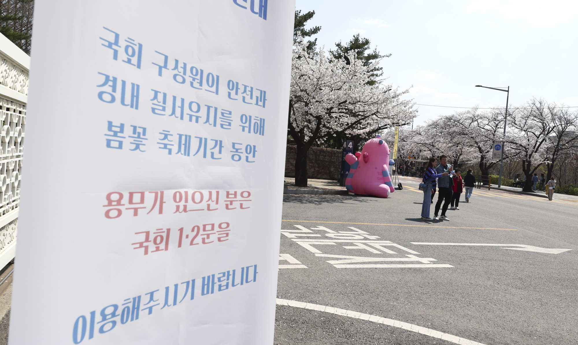 여의도;여의도벚꽃